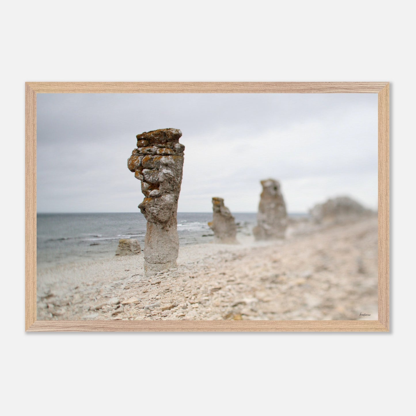 9f5cff14-a33f-4f51-9877-b2fc98686d0b