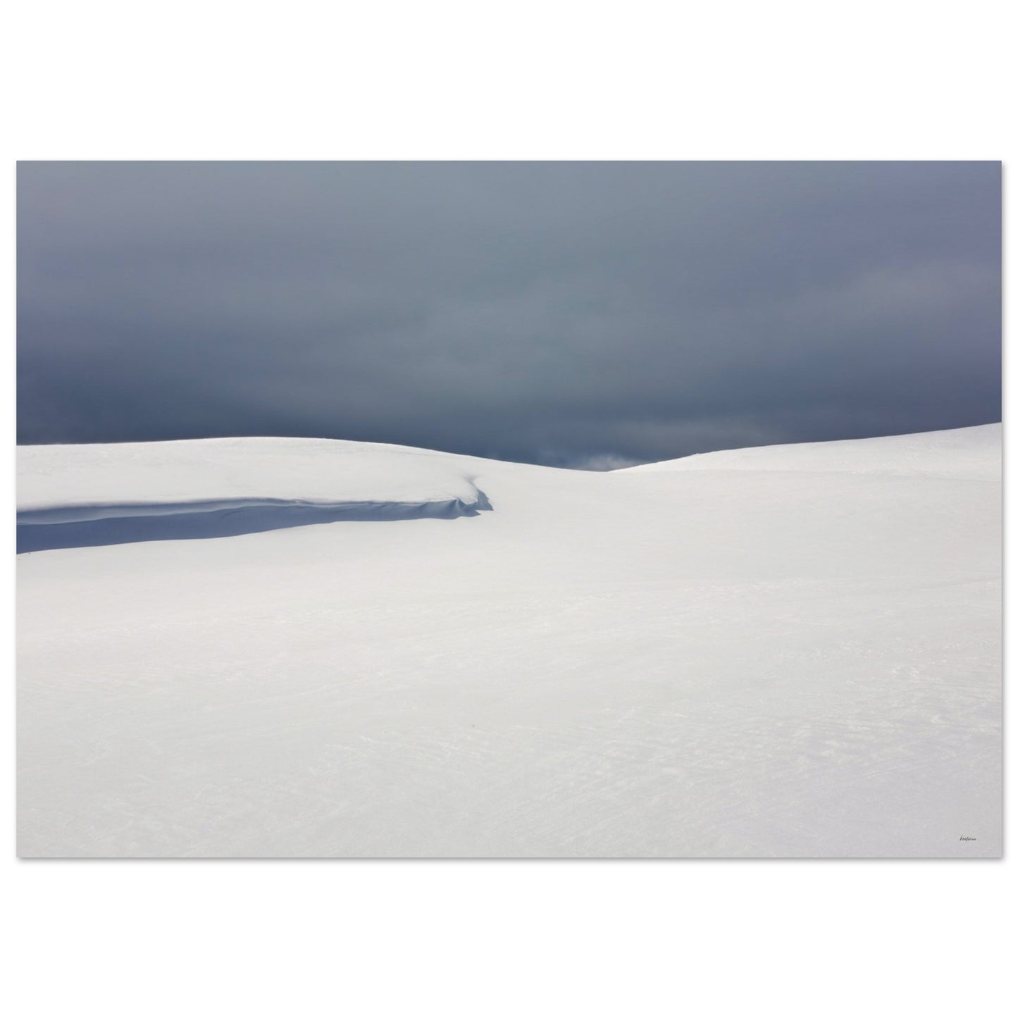 a03d3486-da04-442d-9024-964bd11bb4f1