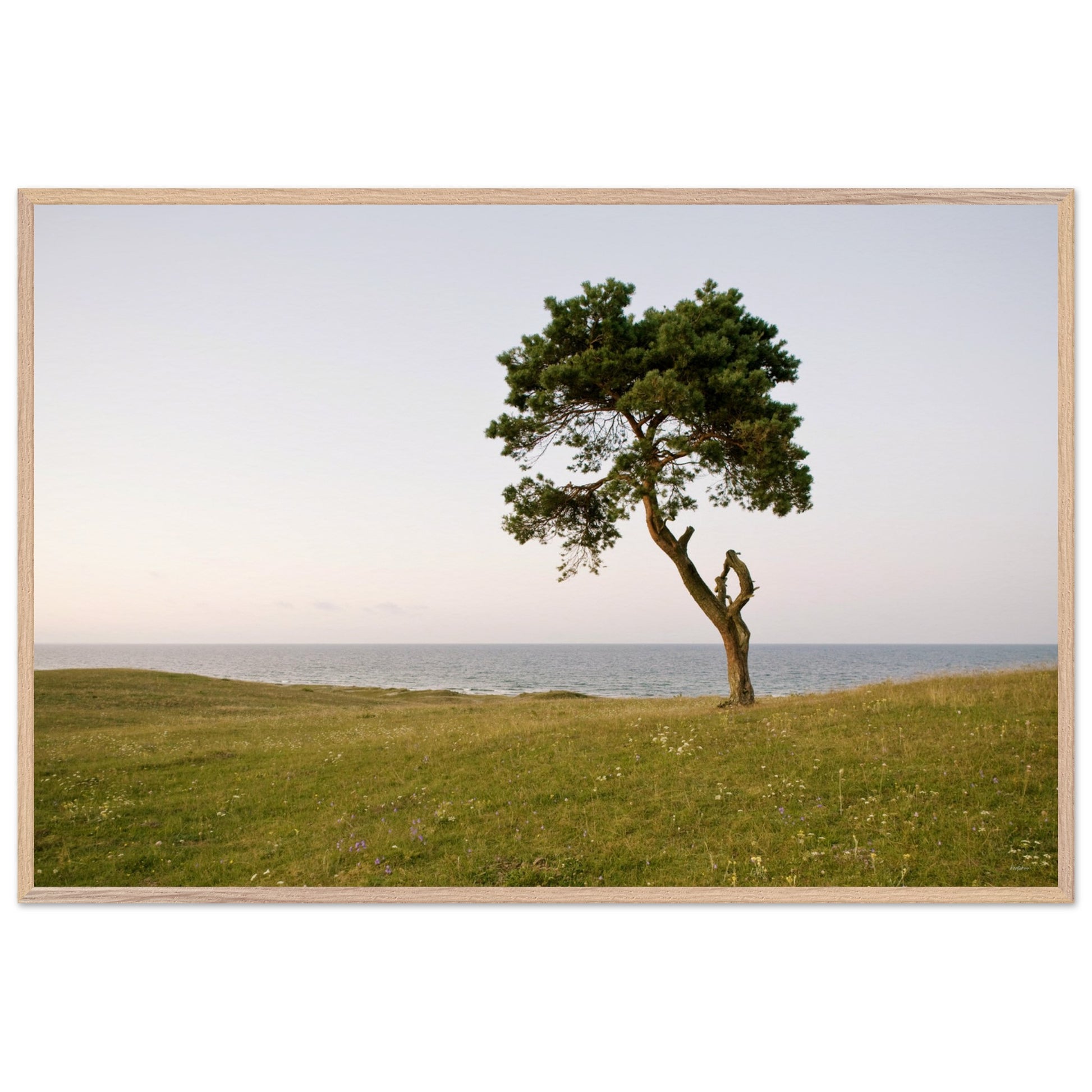 a11339ca-6781-4803-b56b-1b2f23725f43