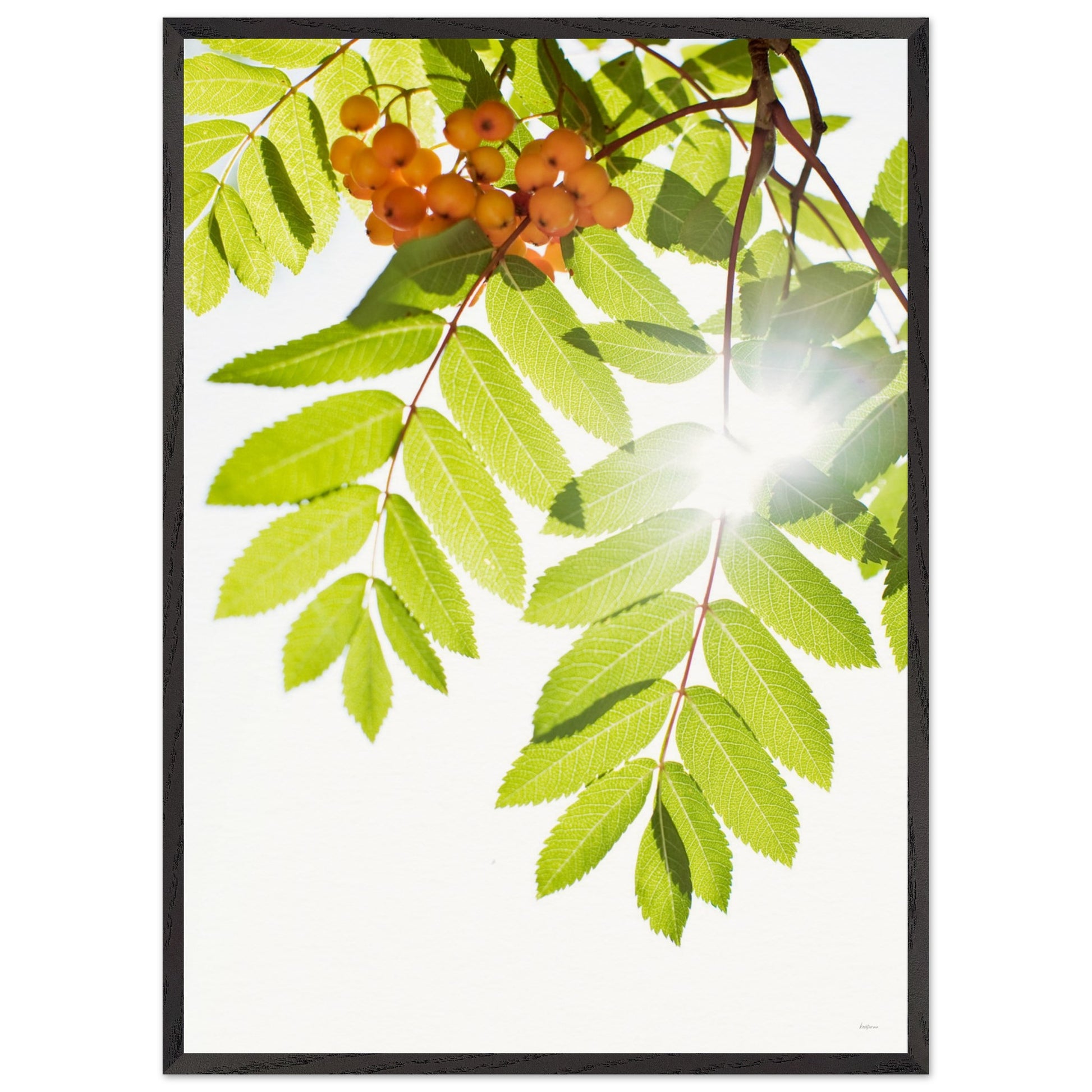 a115224e-c590-4330-a3ad-91609acb657b