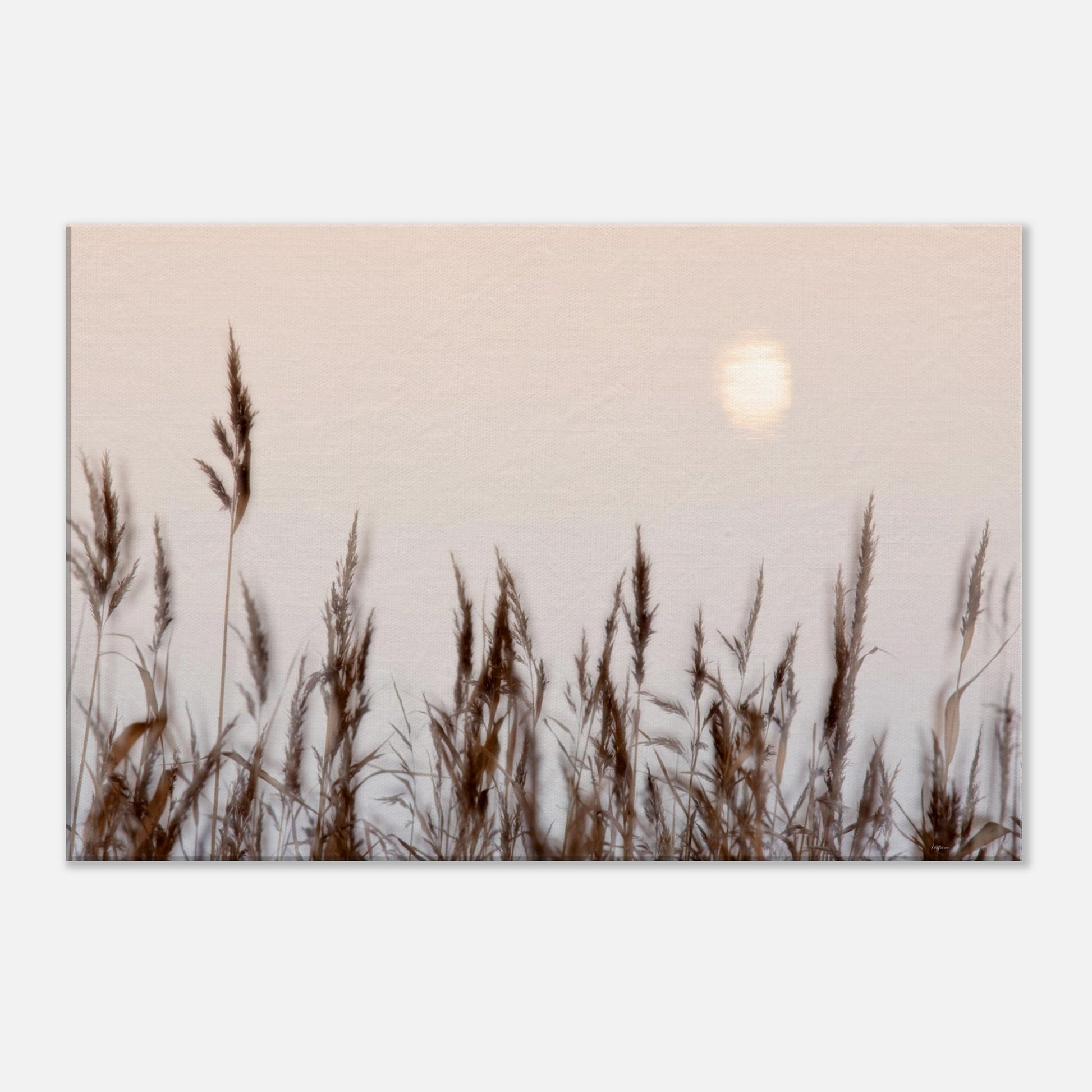 a25d4f09-e649-4d8d-94f0-98dd6ac7ce5f