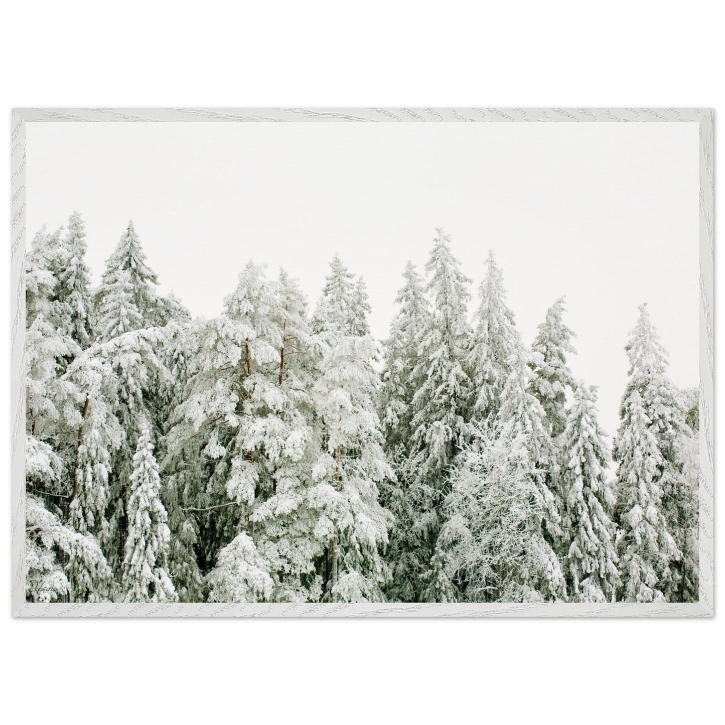 a29f4c74-0524-429c-a2ad-c9ec75db0c6d