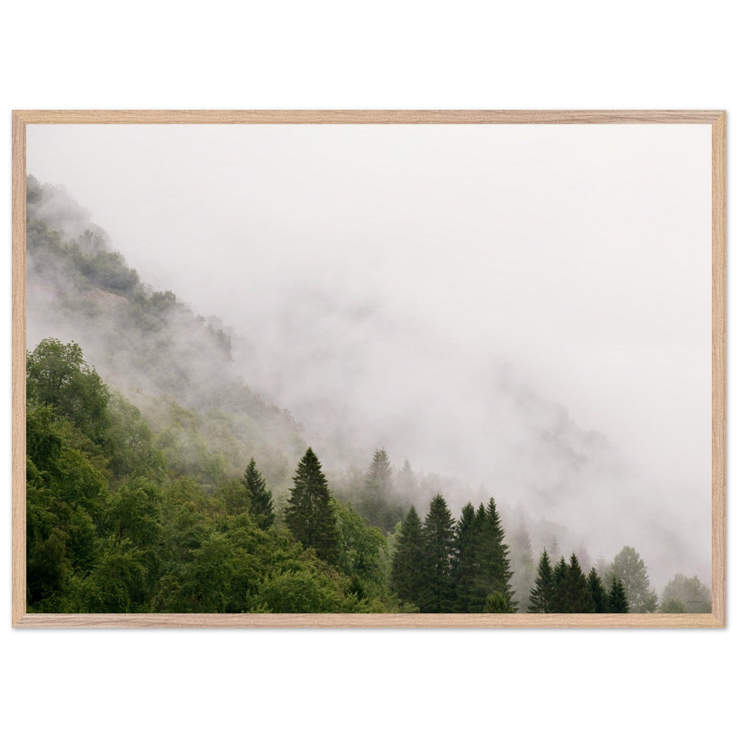 a3c5c37f-df14-4579-b1f5-11d3ec89fd37