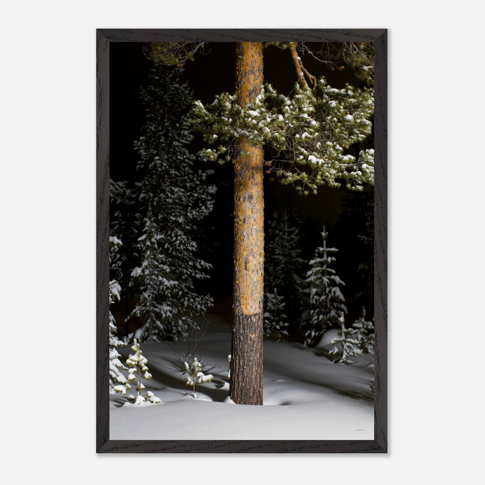 a47db7ab-6bbd-4a3a-aaf9-9b6f6c6c5a7f