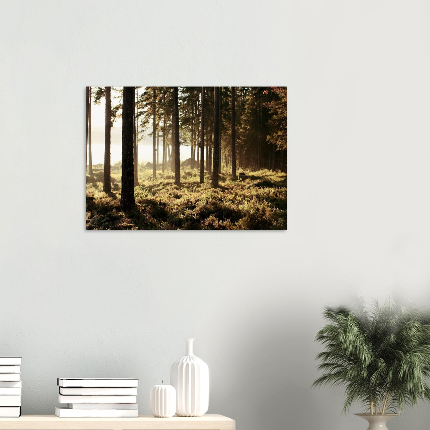 a655f800-e17f-4625-9cc8-dfbb5dbf0416