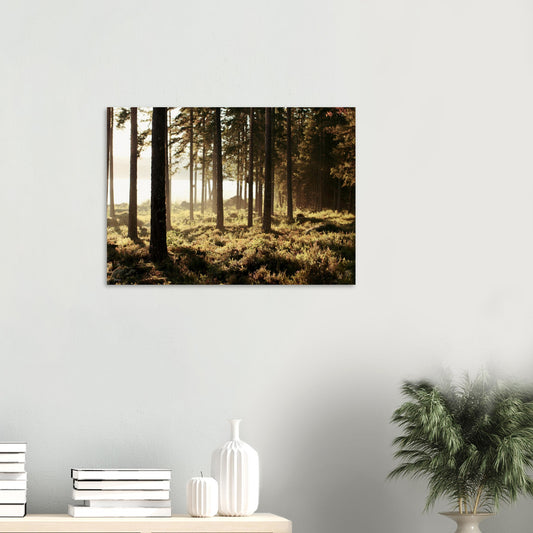 a655f800-e17f-4625-9cc8-dfbb5dbf0416