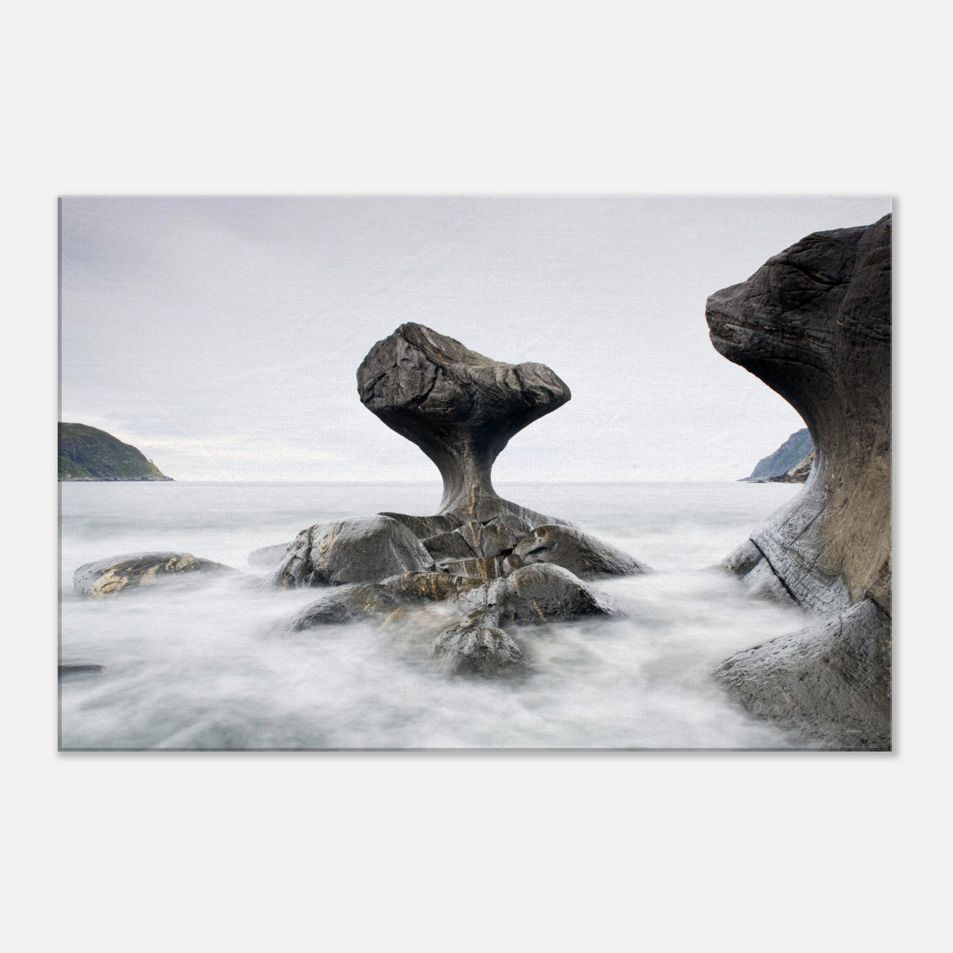 a675516c-f3d3-4be5-afa6-32f38c359dc2