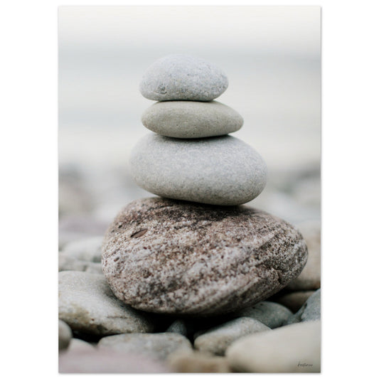 a82e786c-9596-46ee-9720-58a20ca5aec5