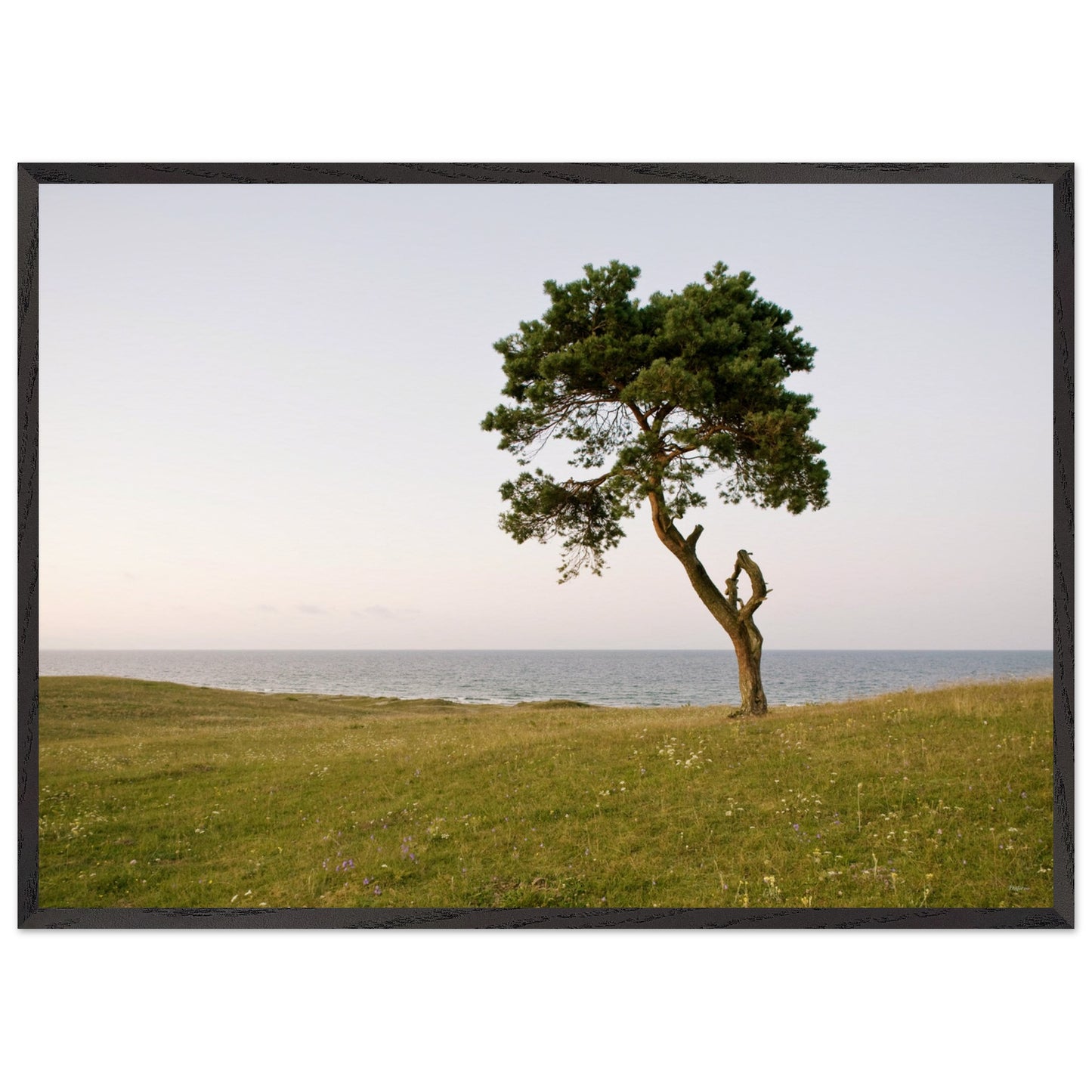 a8e44f45-fd7f-4718-acd1-e108e3f39c60