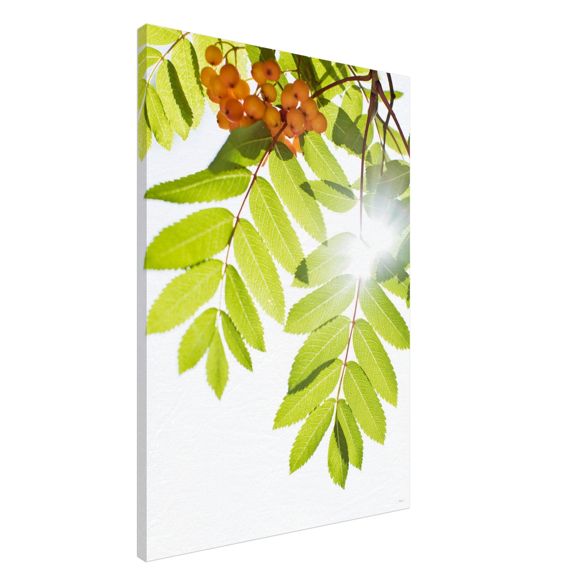 a9ee96dd-1269-4803-a299-1093b6b88f26