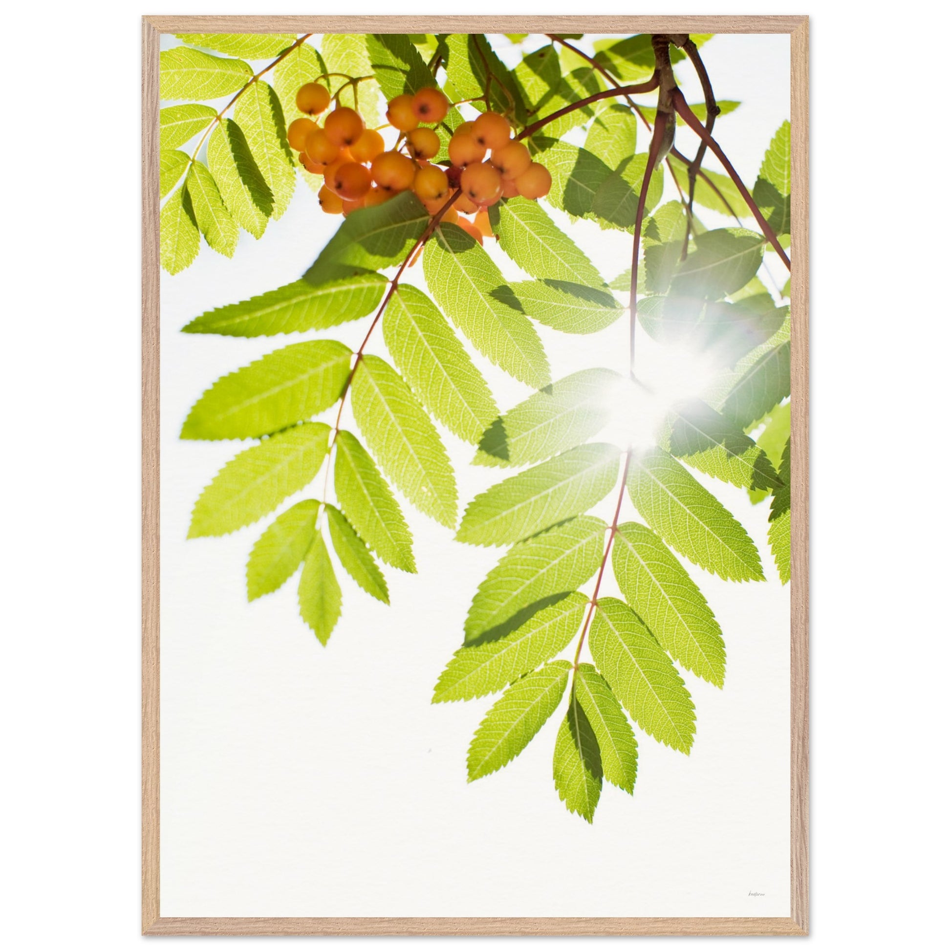 ab652f9b-dc29-4669-9349-ab931bb5b257