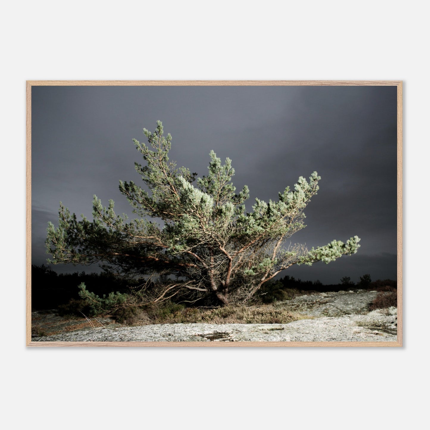 abfcd273-ec16-4c26-a1ab-c2567e408a41