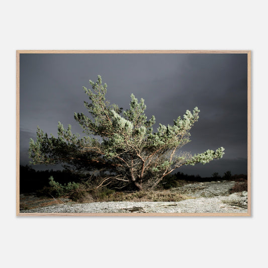 abfcd273-ec16-4c26-a1ab-c2567e408a41