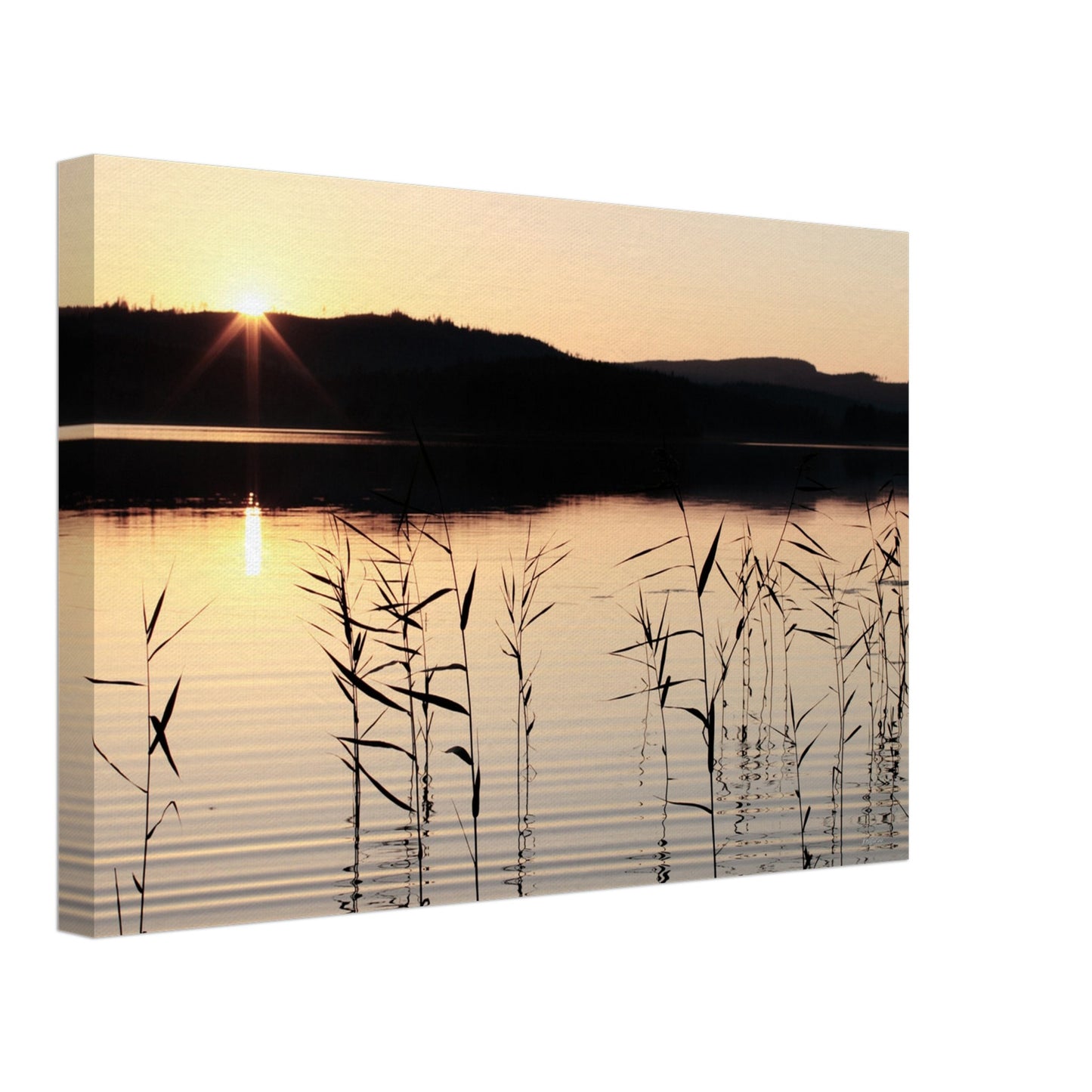 ac779b9e-8f6c-41e0-aa55-cd6184288937