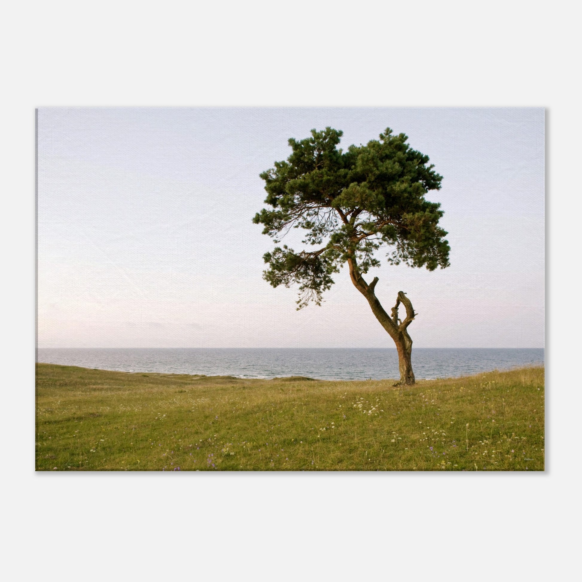 ac7c106b-24b5-48d6-b791-53ffb8ed6333