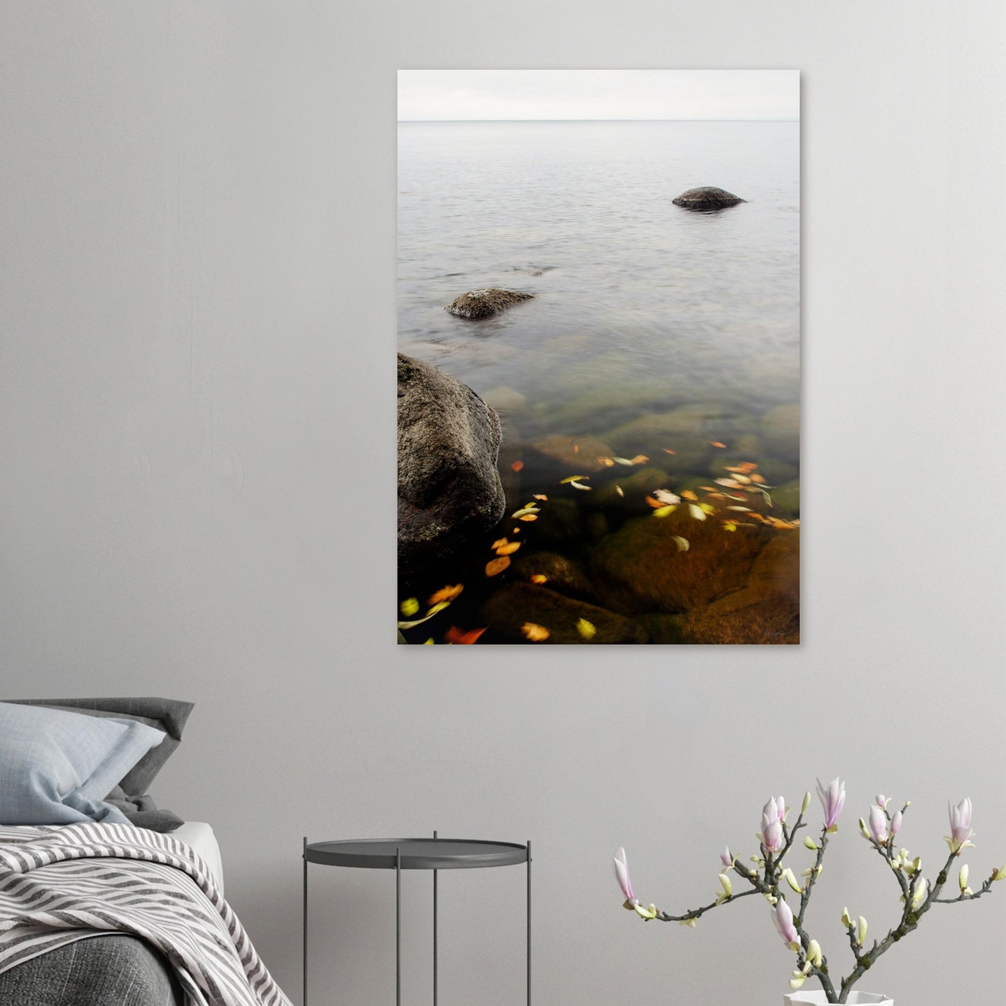 ac8b11ba-1fbd-4b2b-8846-79a5c96efb30