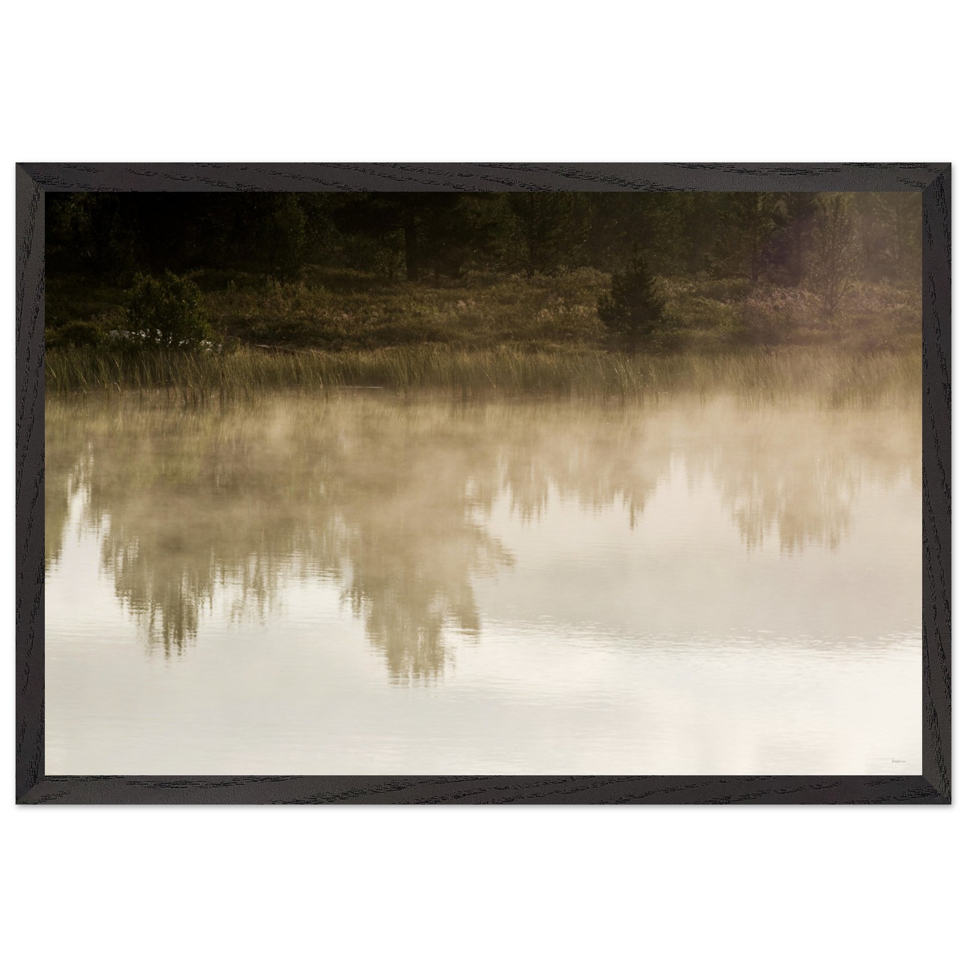 acbbffe0-430a-4ca7-88d3-7d02cd995a27