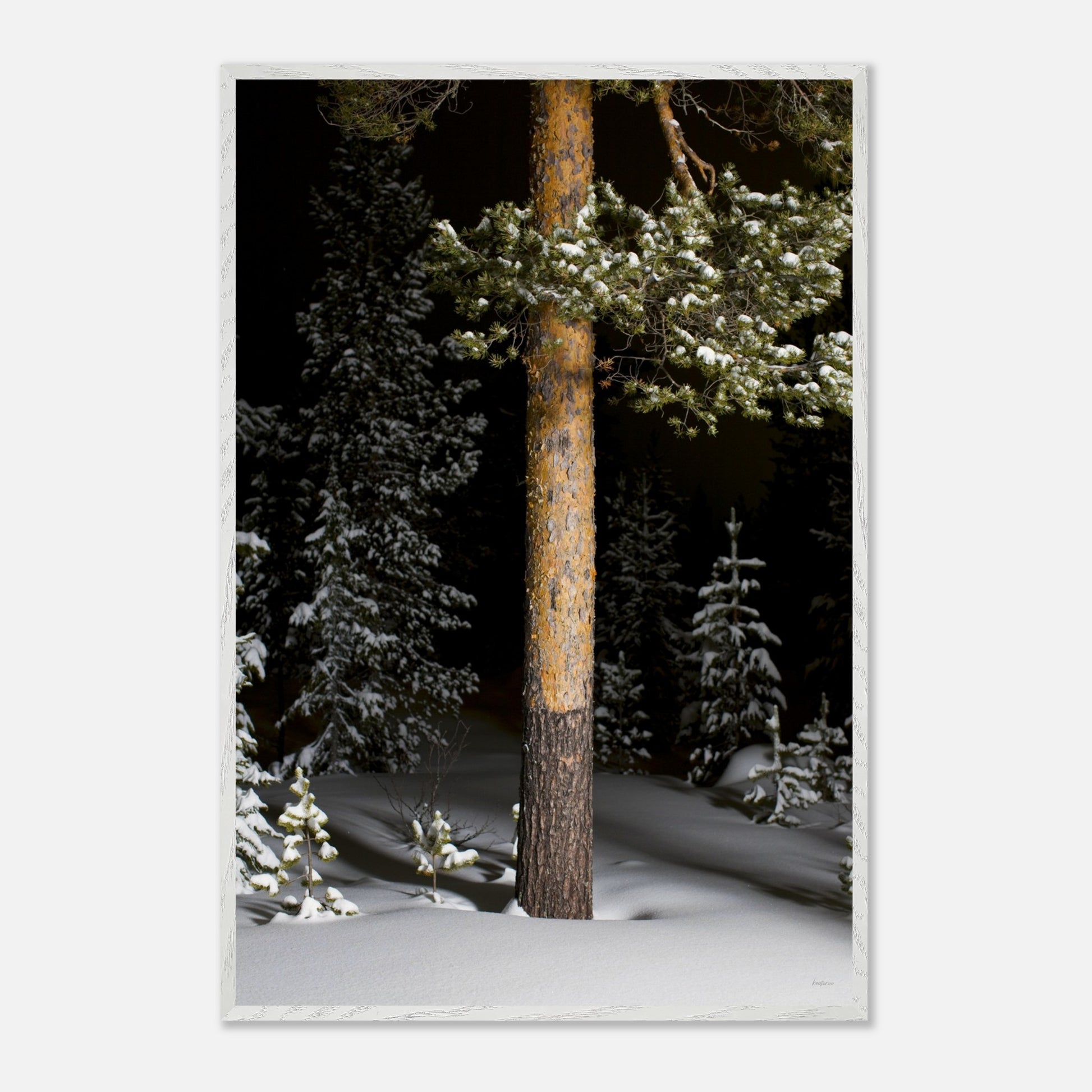 ada2c0a1-b1a5-4a9f-bacf-de4de60f4aa3