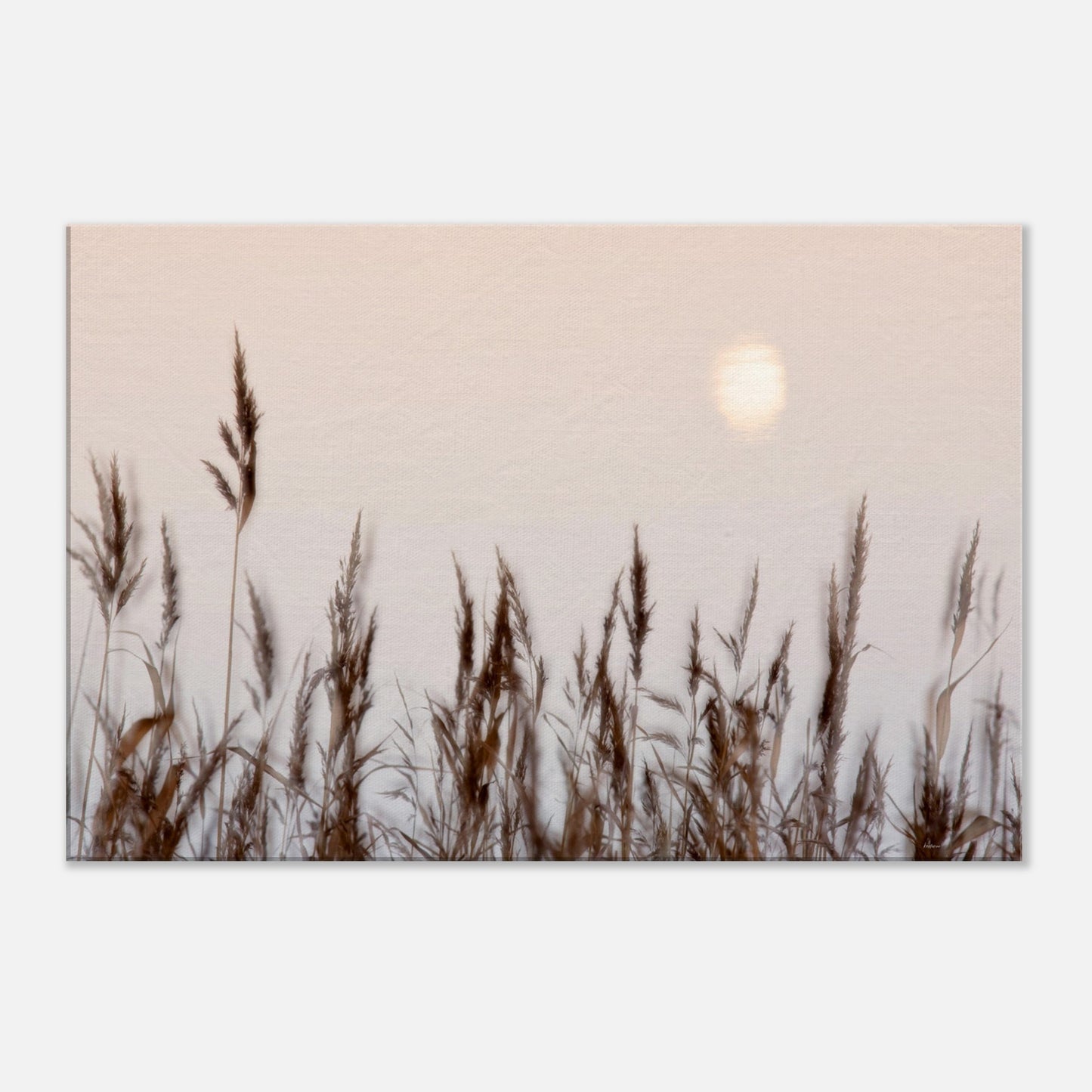 b0c36d04-a451-4458-9590-479edf5b5b30