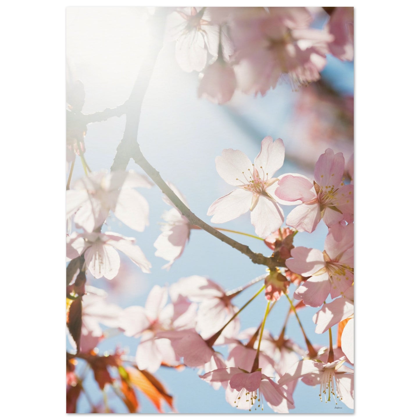 b1fe16ee-bf49-42f6-afe4-7fd4f6ba9a06