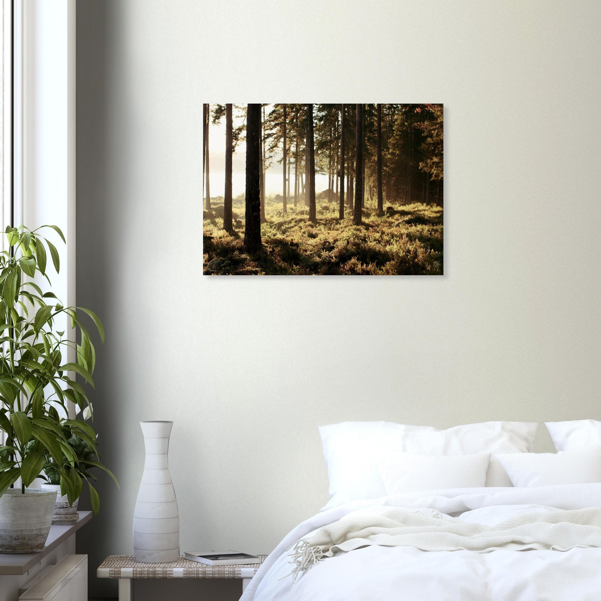 b2730382-d35f-4c60-8452-8bab1937ea3e