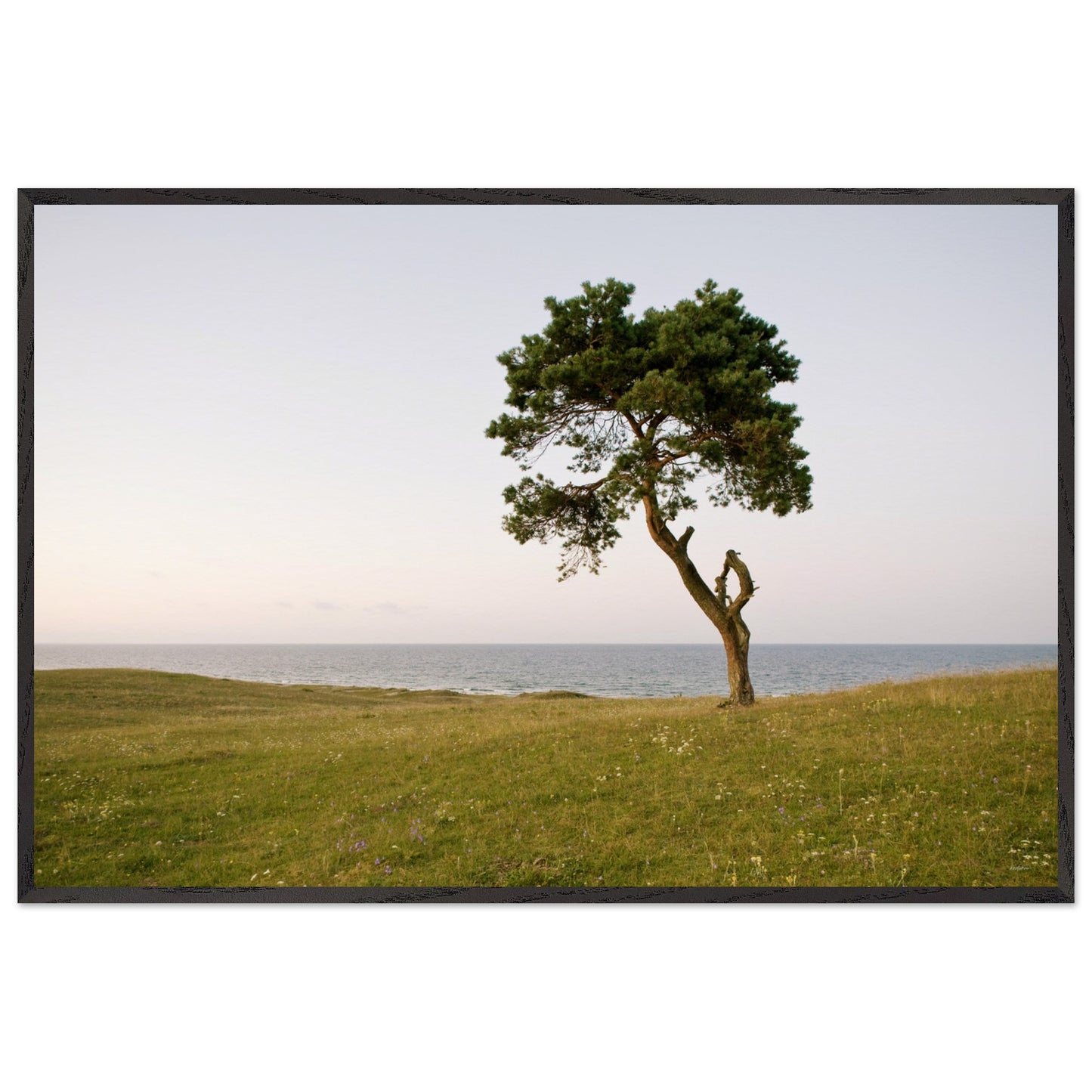 b2d3604d-a465-4583-9344-2efd6528e9fd