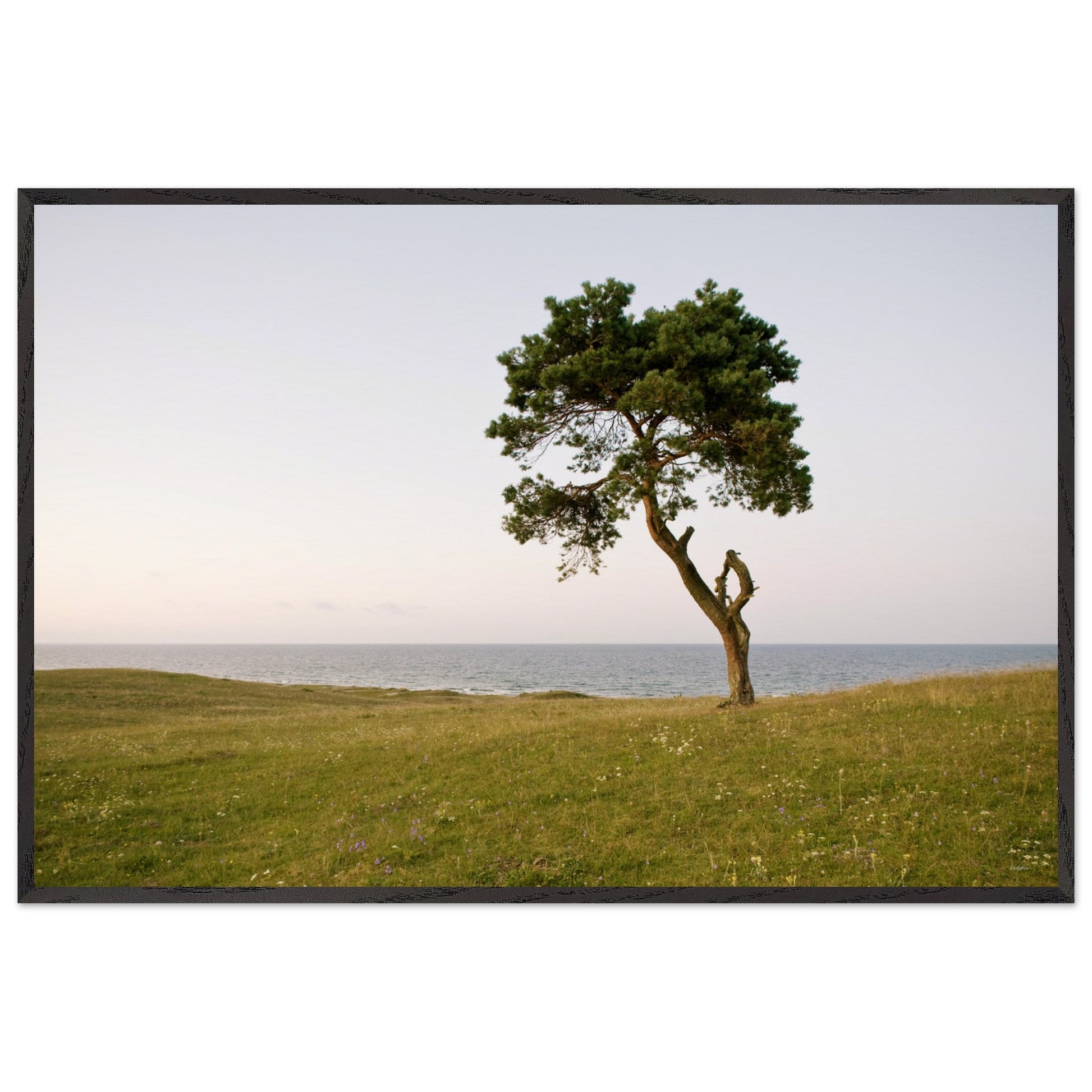 b2d3604d-a465-4583-9344-2efd6528e9fd