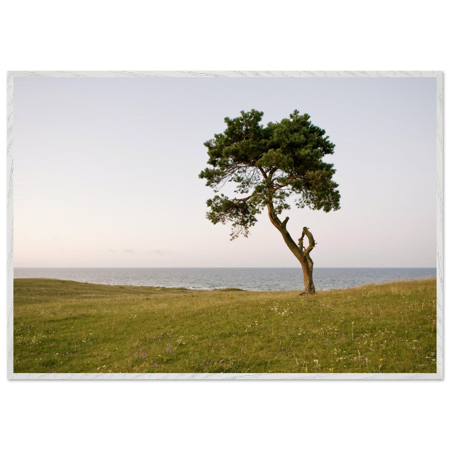 b2d69fad-8dda-49e0-87d6-a484a3fdd7bc