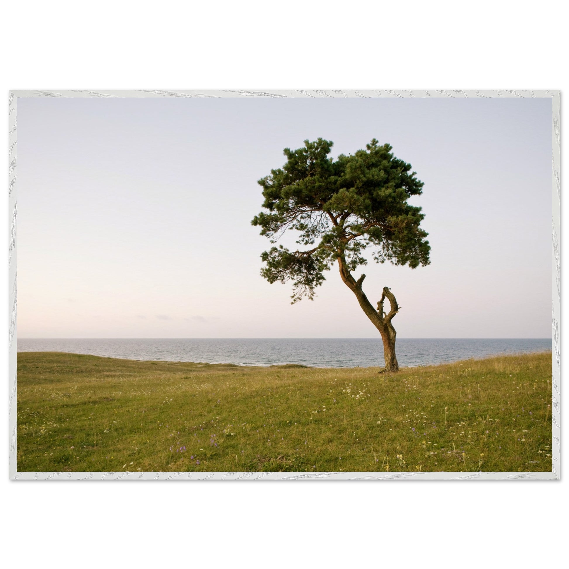 b2d69fad-8dda-49e0-87d6-a484a3fdd7bc