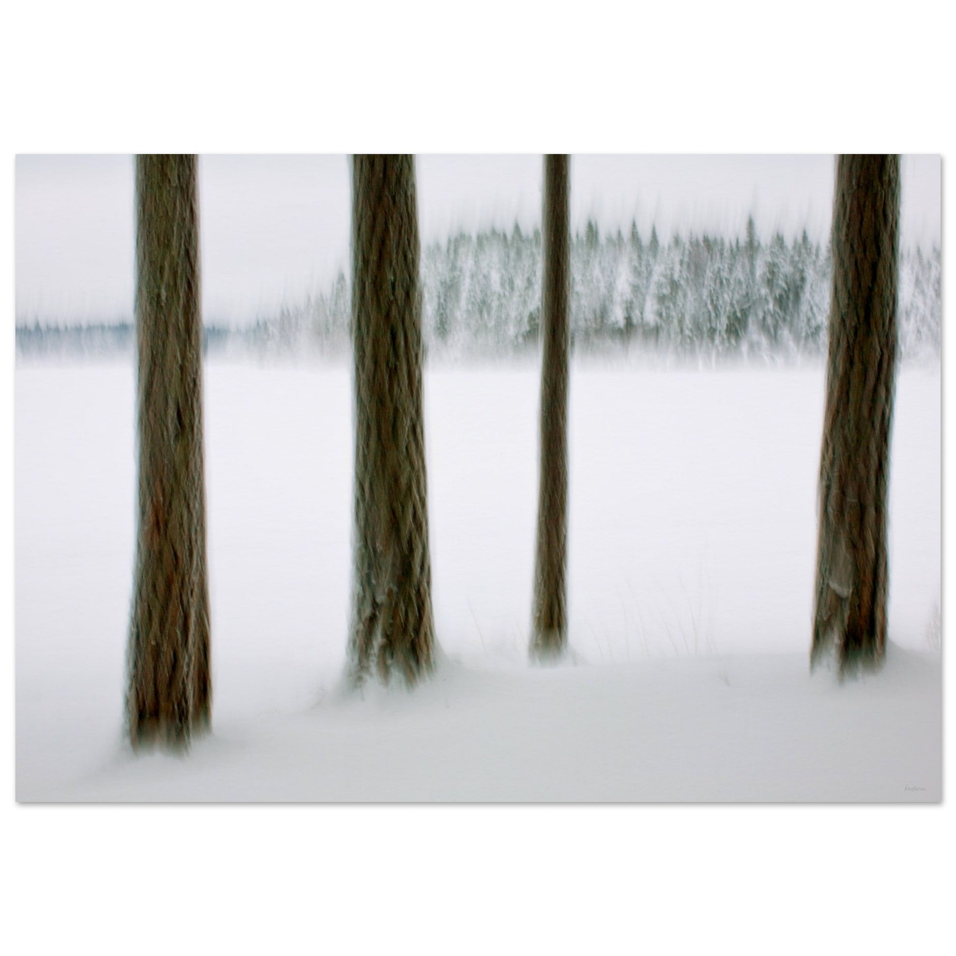 b3d99f82-1214-4ce3-9065-ae34bfd840a5