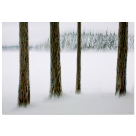 b3d99f82-1214-4ce3-9065-ae34bfd840a5