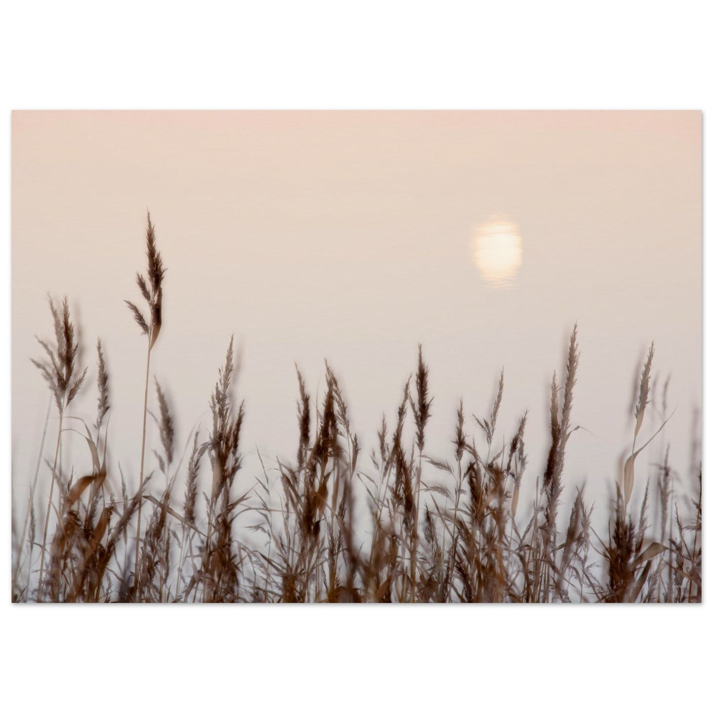 b52f17ee-fc37-4278-82f9-841d6f9f1316