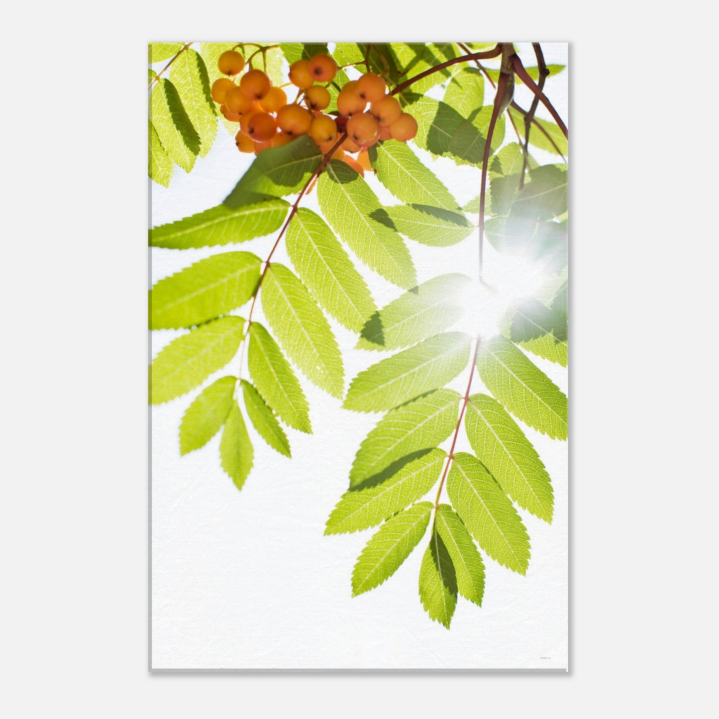 b60ba8e7-bb92-4e0b-98fe-c0a07e840901