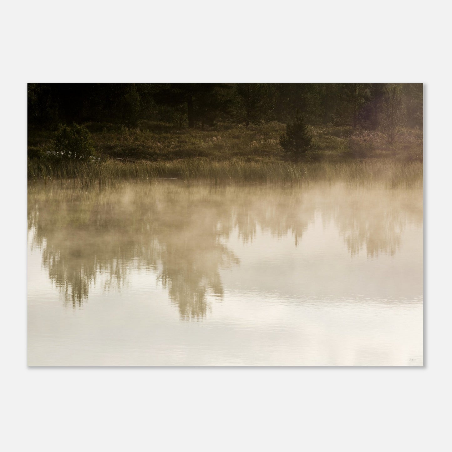 b6923a47-b7ee-4c14-a379-d6228a174af3