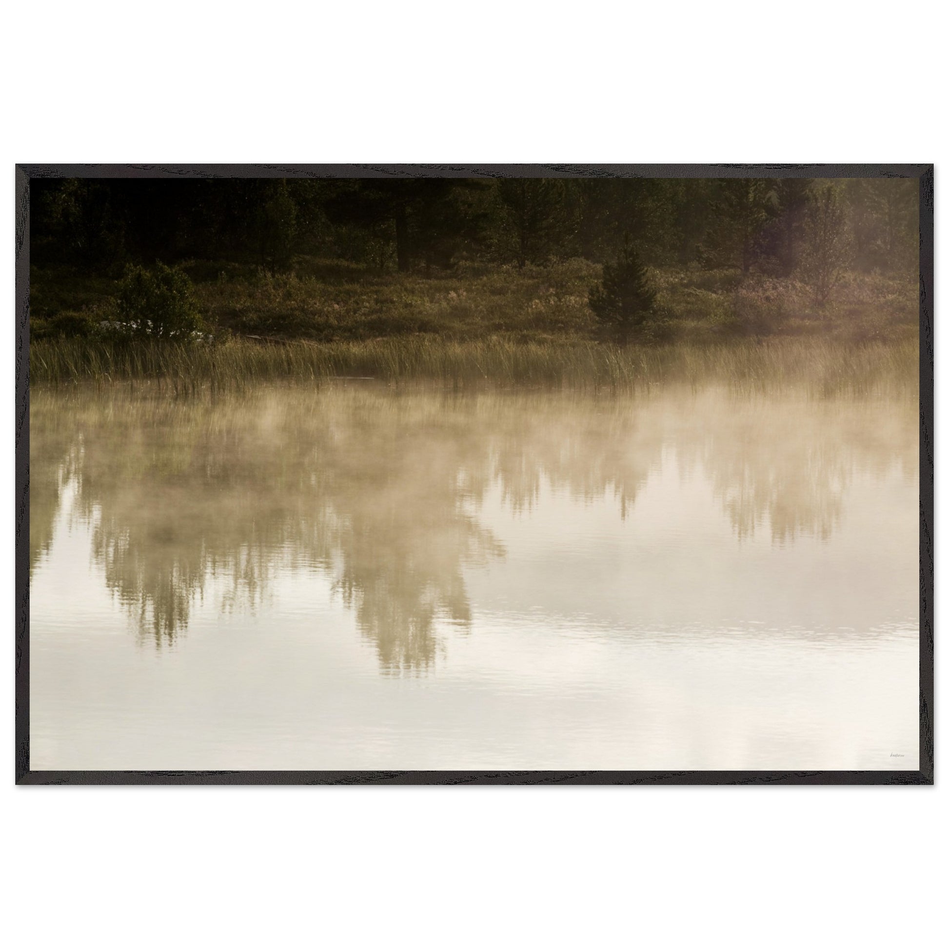 b699e3d1-22ed-4f6d-8eef-59b085de2b63