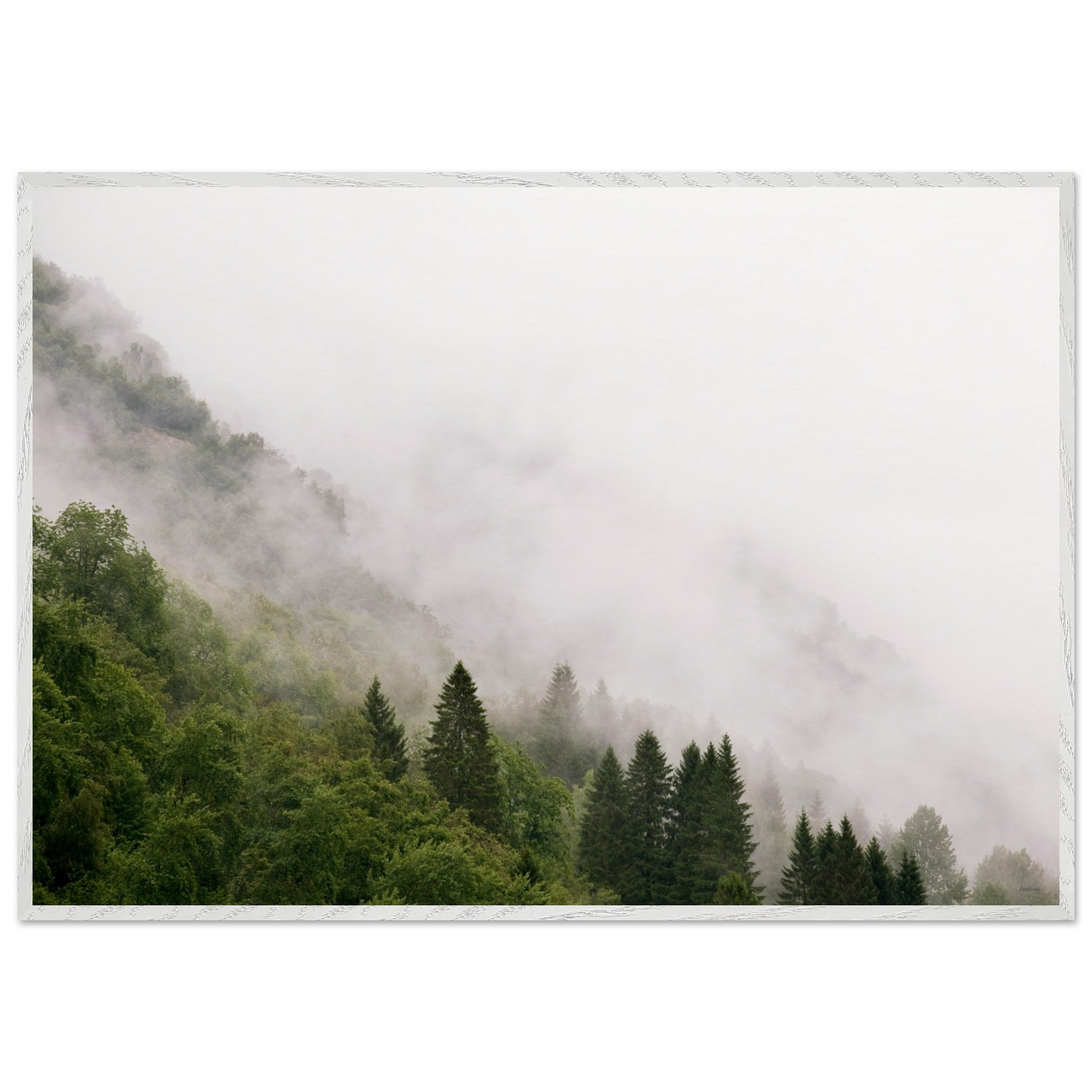 b978fe18-2ec6-431c-9242-336b7f92bb6b