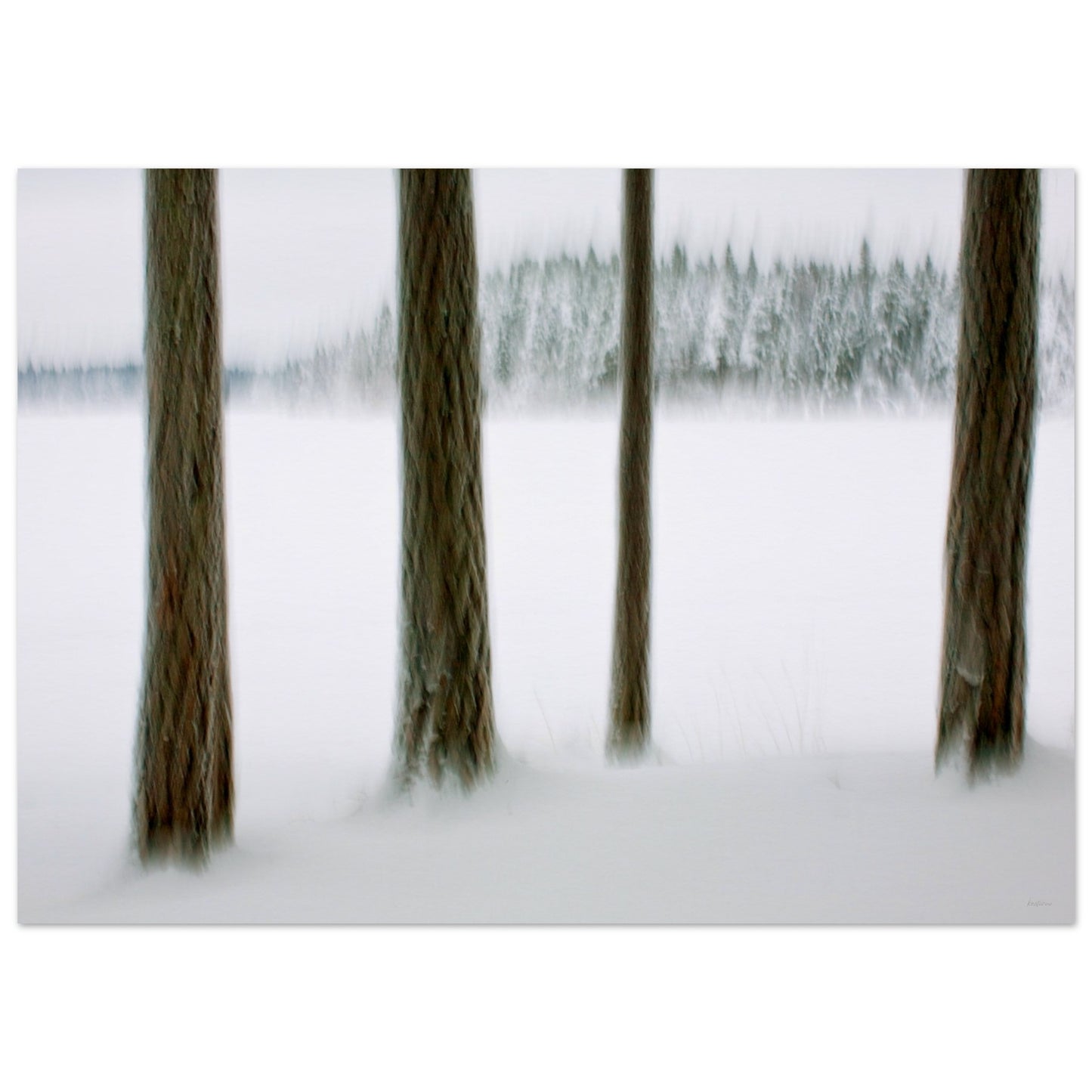 b9eb24df-9bd6-434e-93bc-7f43e095aa8a