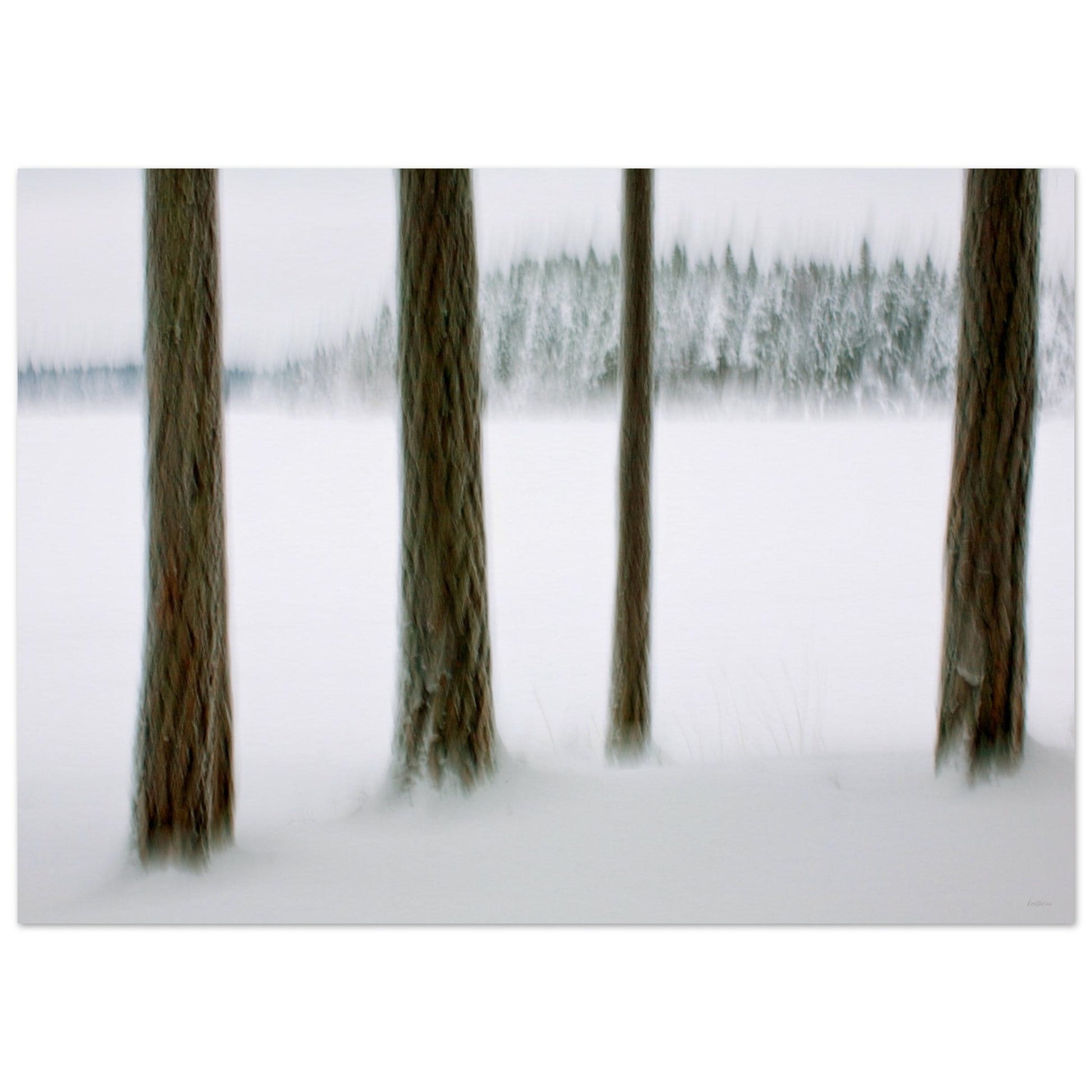 b9eb24df-9bd6-434e-93bc-7f43e095aa8a