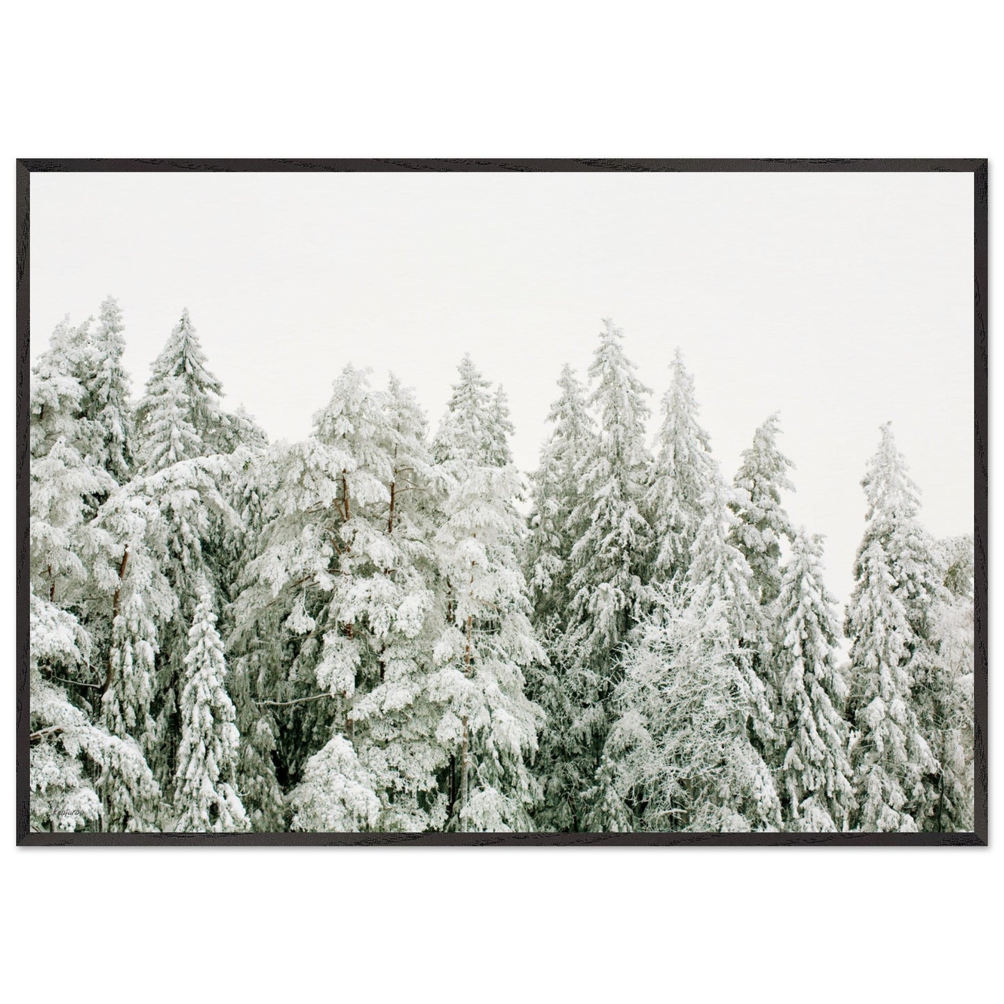 ba680d2f-ecea-4d26-8f86-ae2129a99ec4