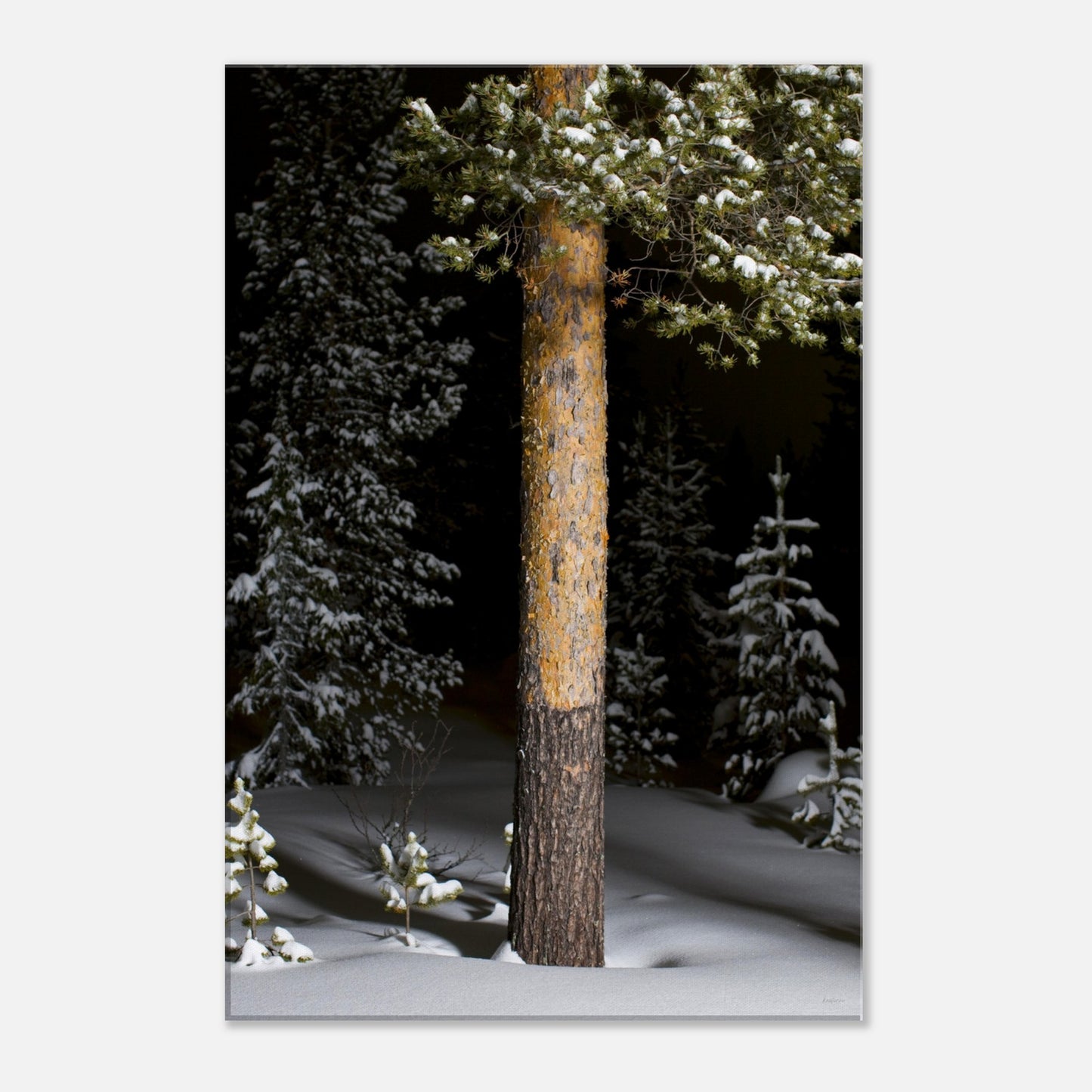 bb89d381-15c7-4bcb-bd09-c6c93a3e57b1