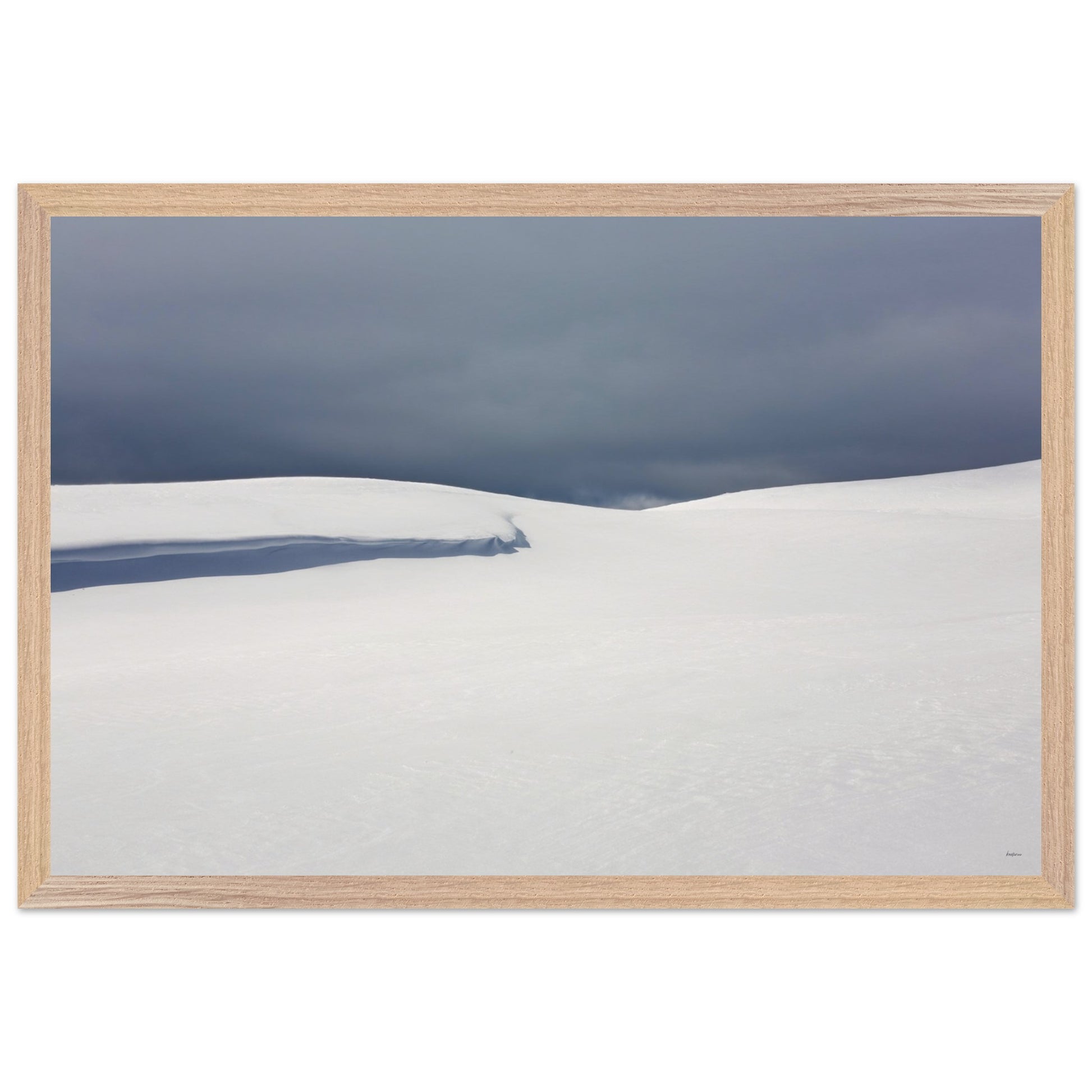 bd11e8f1-bd54-48f6-8606-ffe564b16647