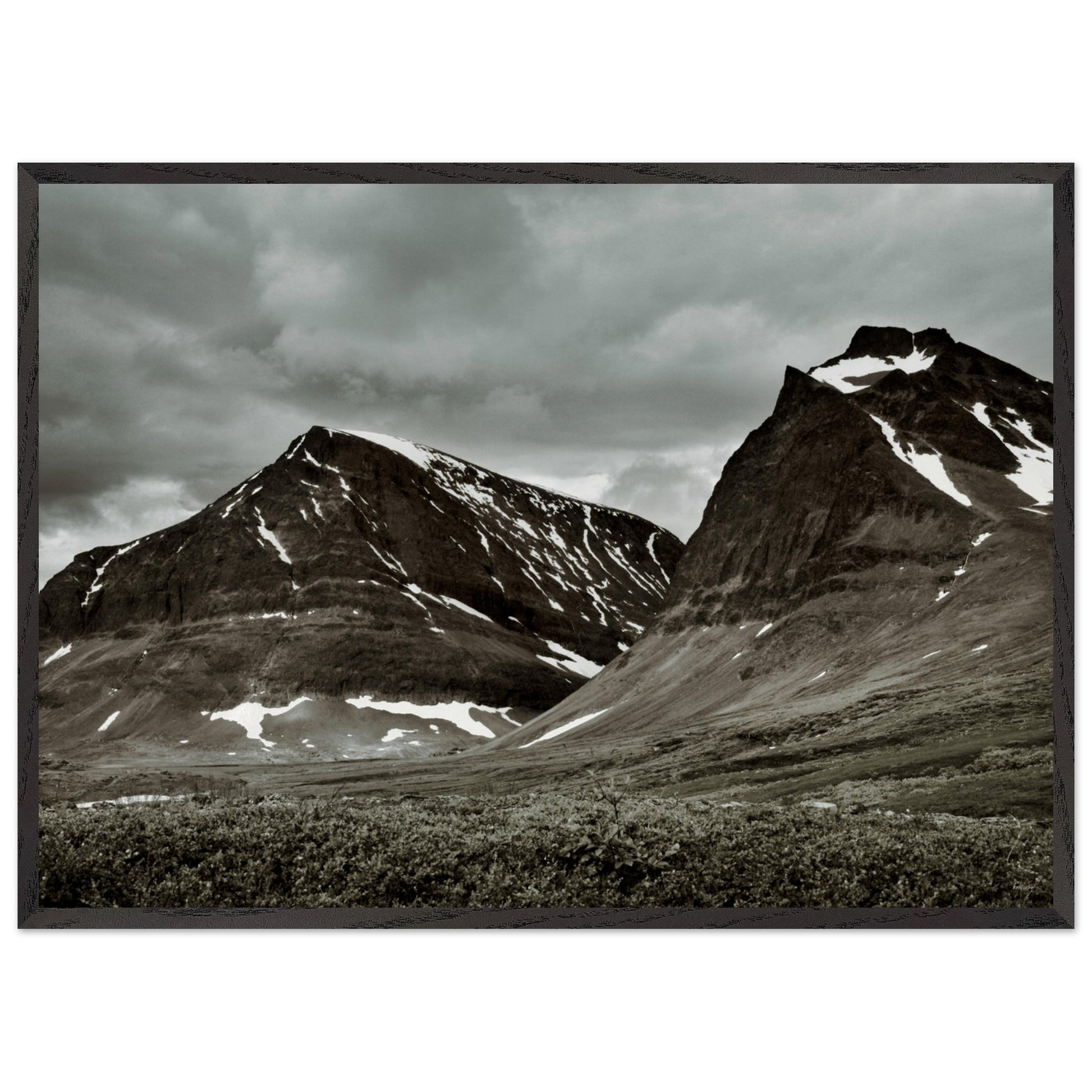 be1b53c2-a686-424c-8077-50af232f271e