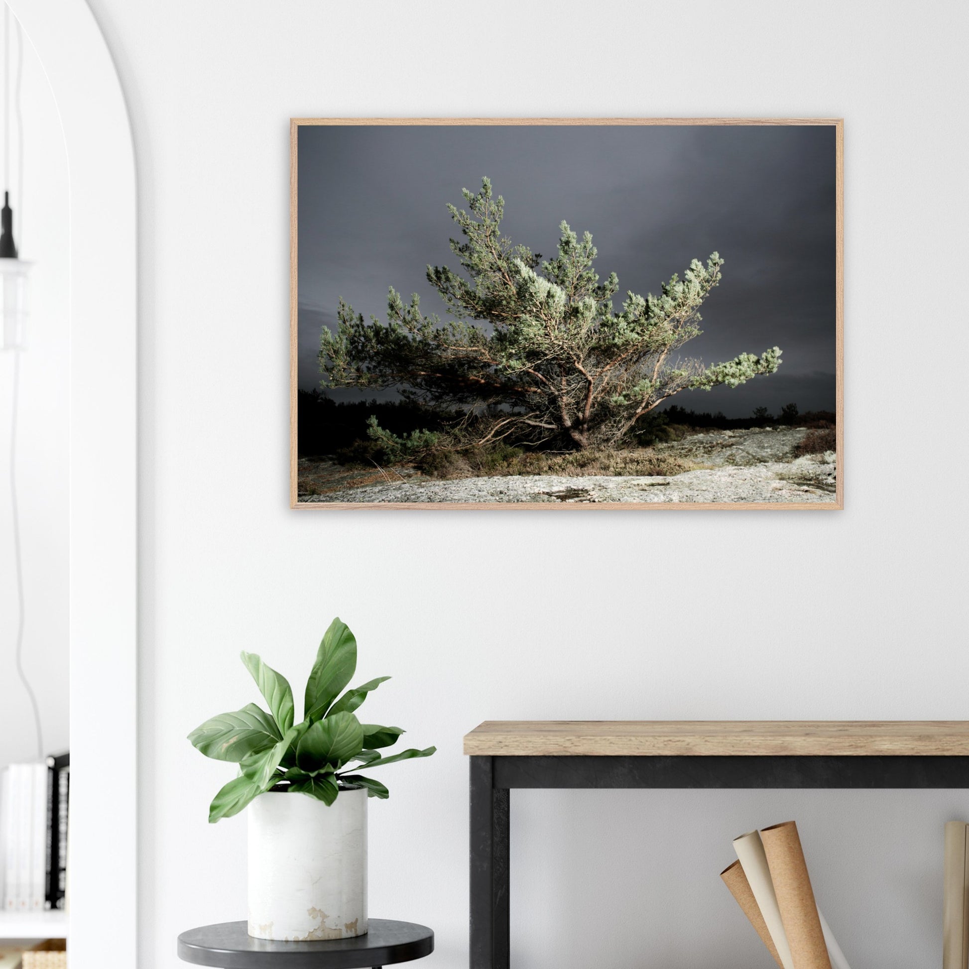 bf82d473-f325-43dc-b05e-ef042b41dd4e