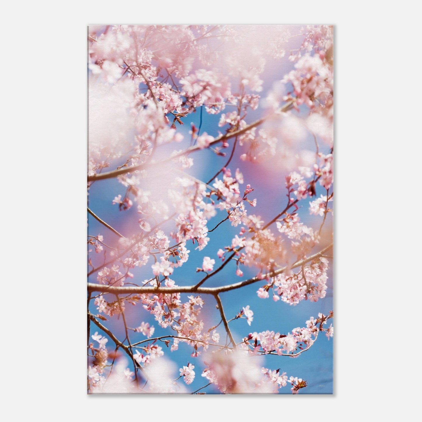 c035fed3-9cda-4a65-9bd9-fe4b0c97a9c0