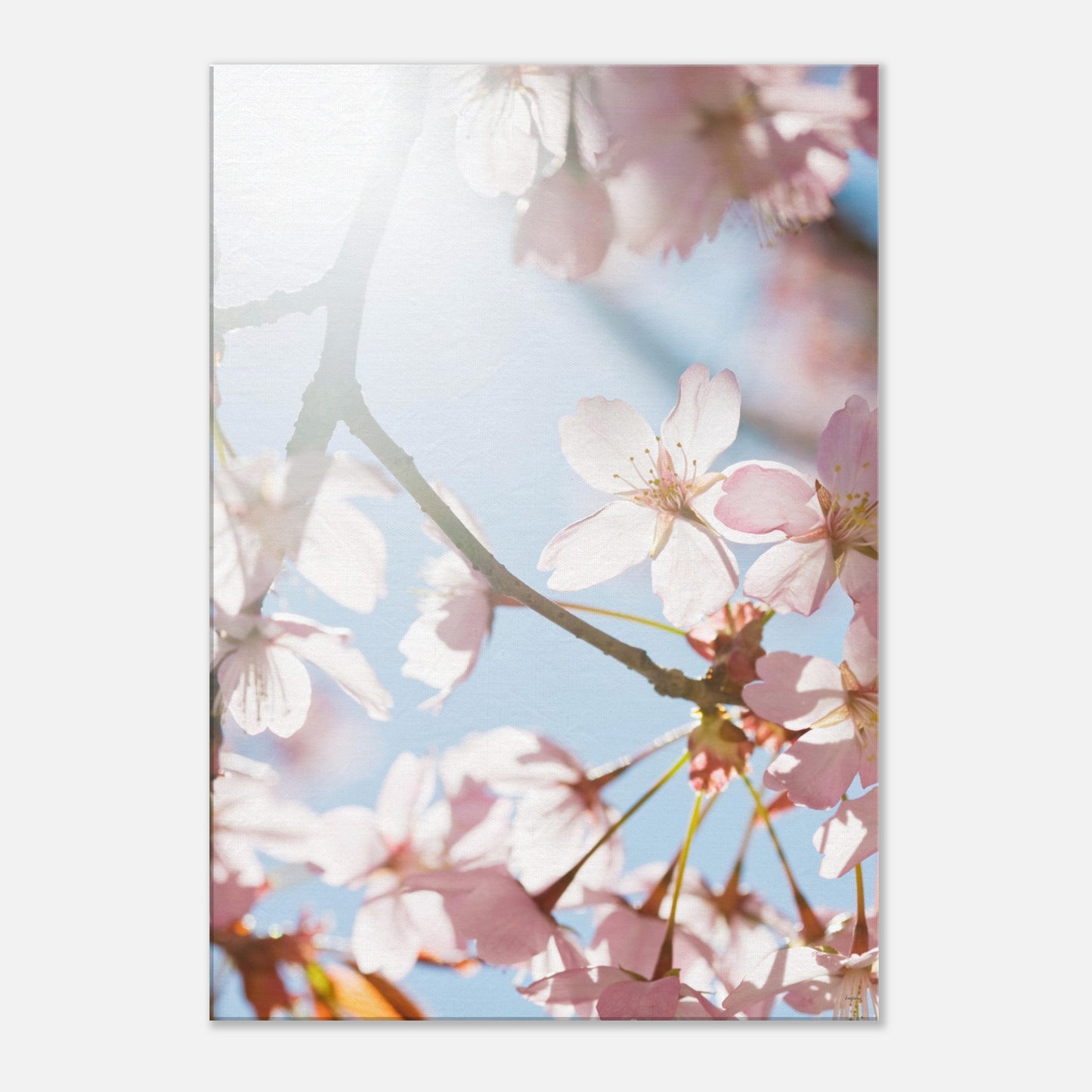 c129f9c4-f389-4055-9cfa-6786dffa1c69