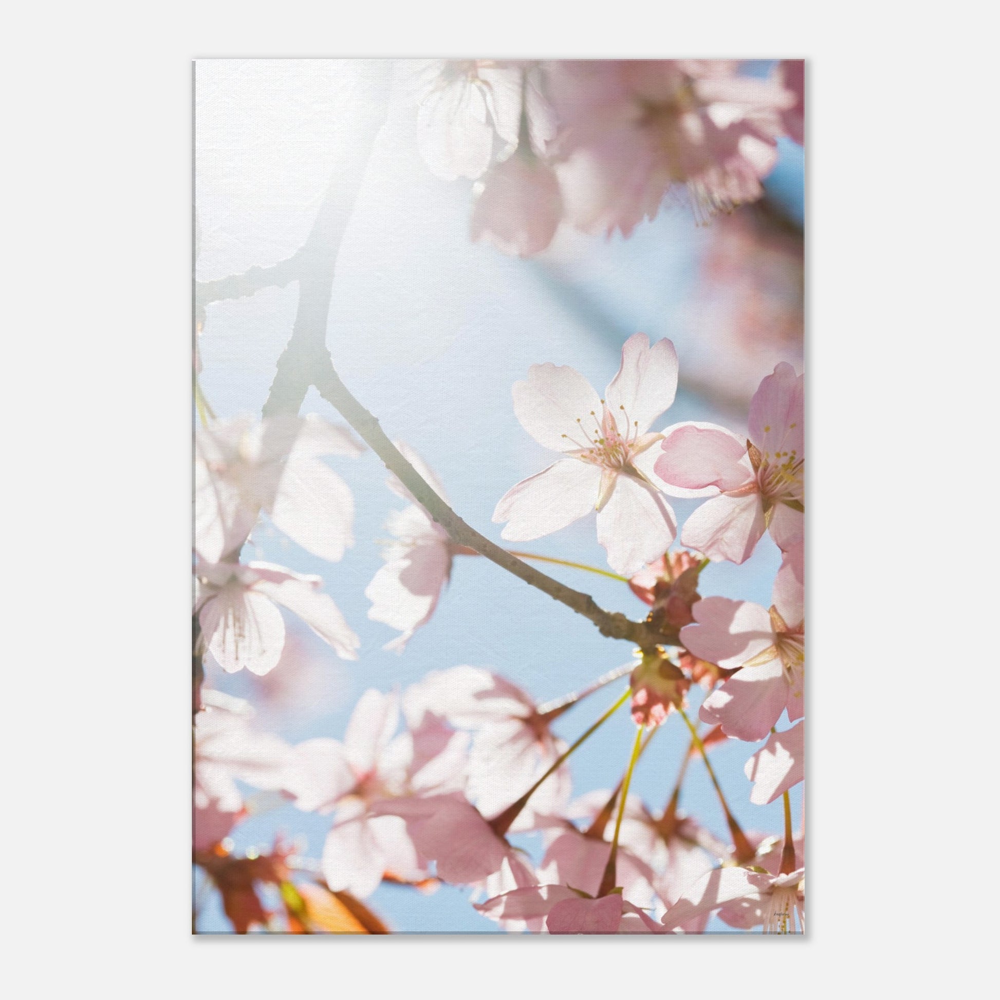 c129f9c4-f389-4055-9cfa-6786dffa1c69