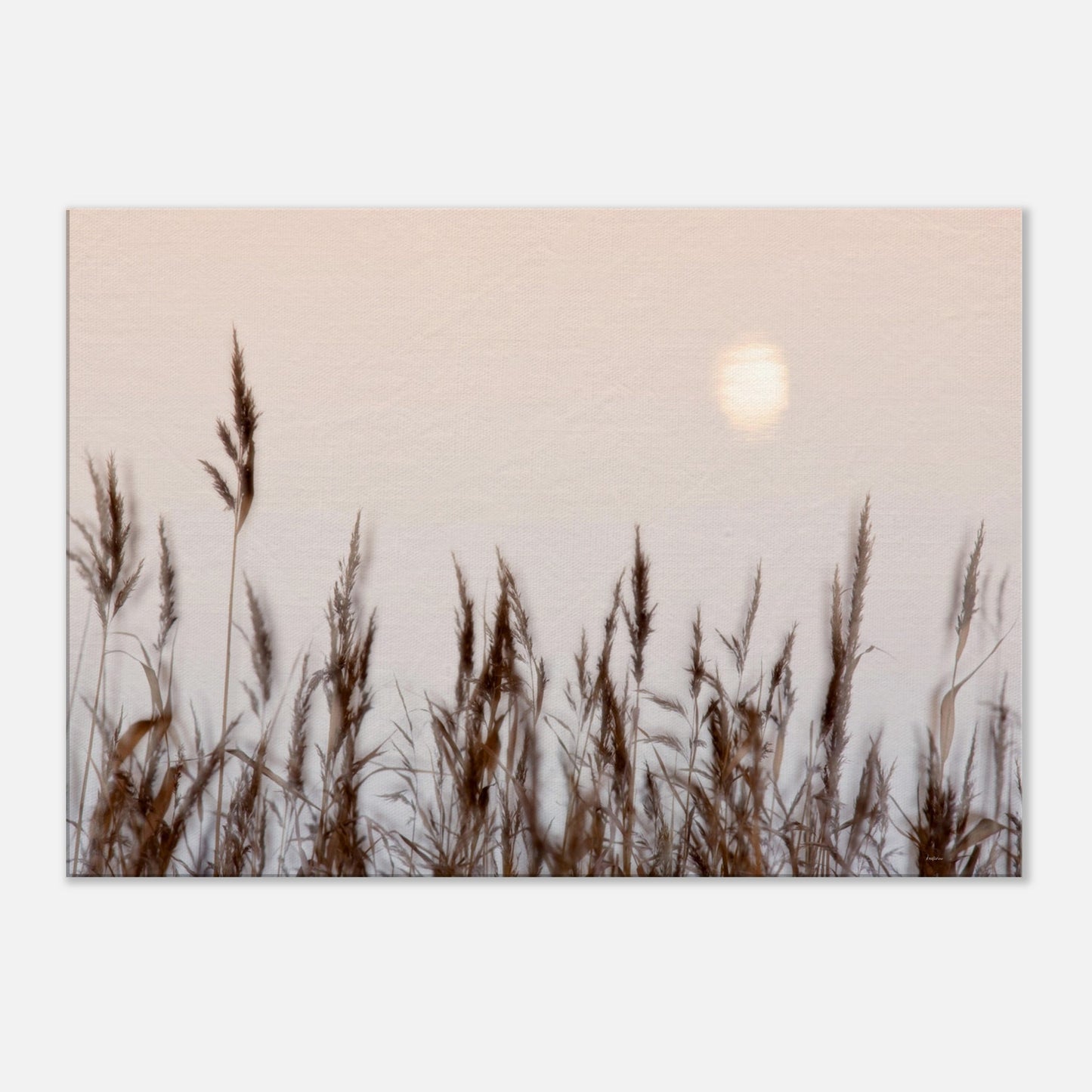 c14604ea-3f6b-42ac-b14d-e08db6185d4d