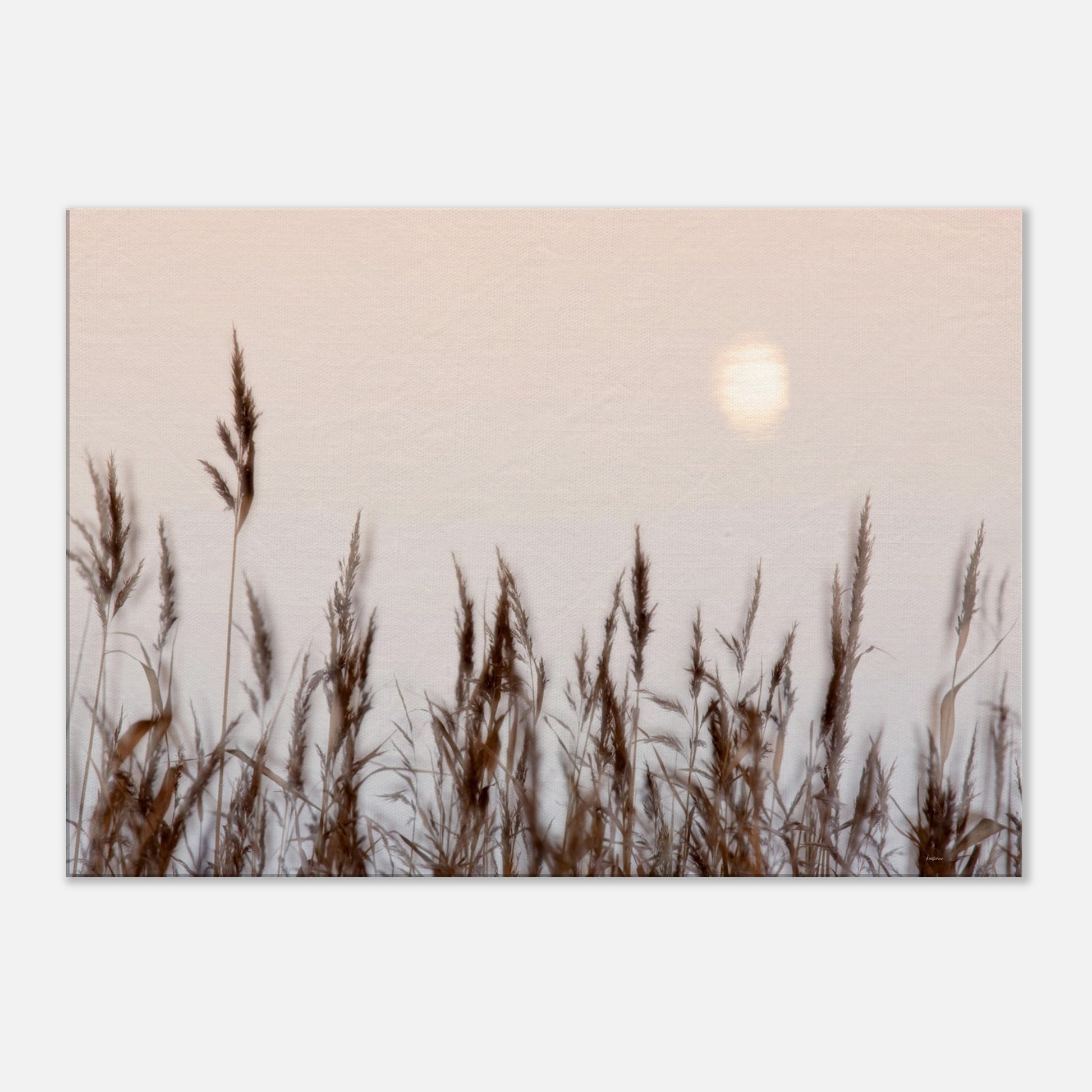 c14604ea-3f6b-42ac-b14d-e08db6185d4d