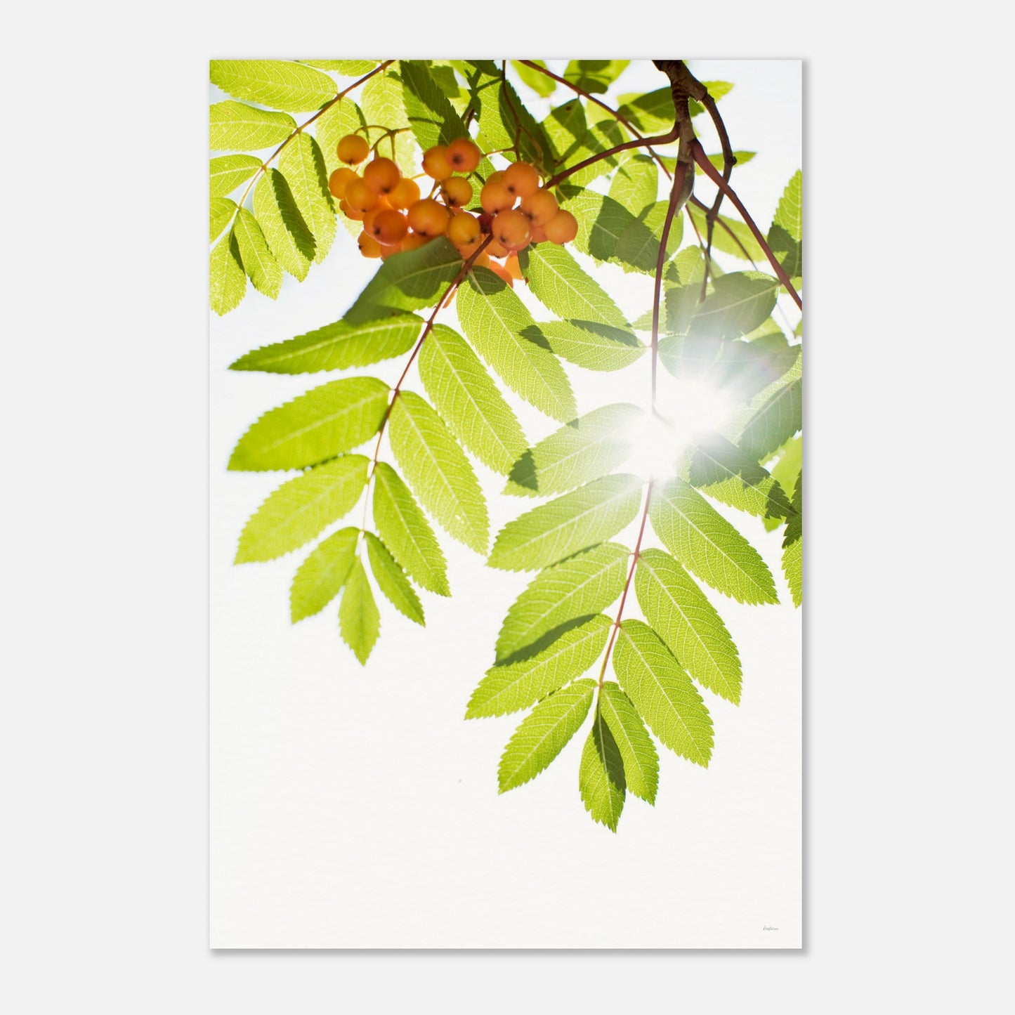 c20ba1a1-3be1-47c9-81f7-77c579060553