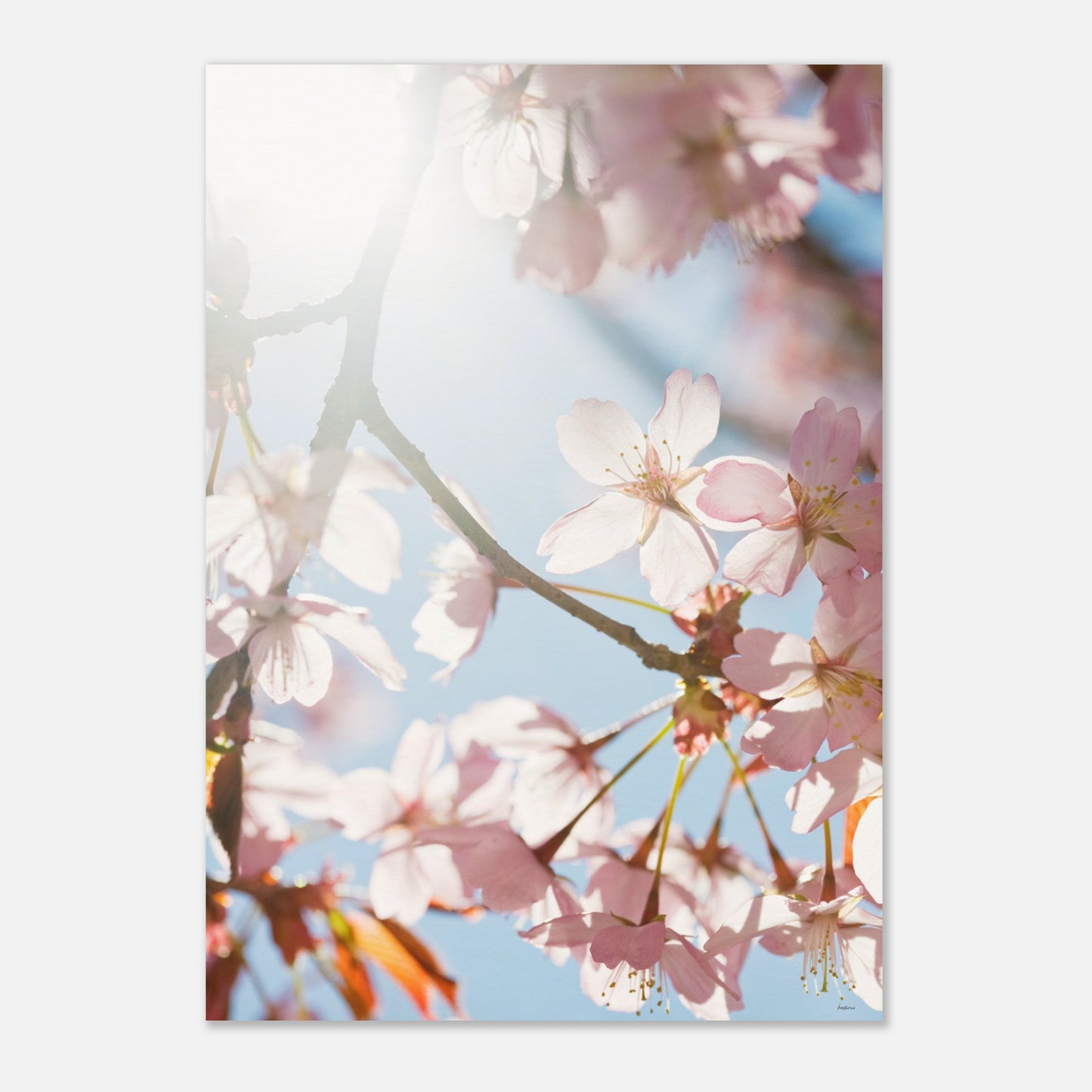 c2528110-f458-4de7-a889-1d4c1d7d651e